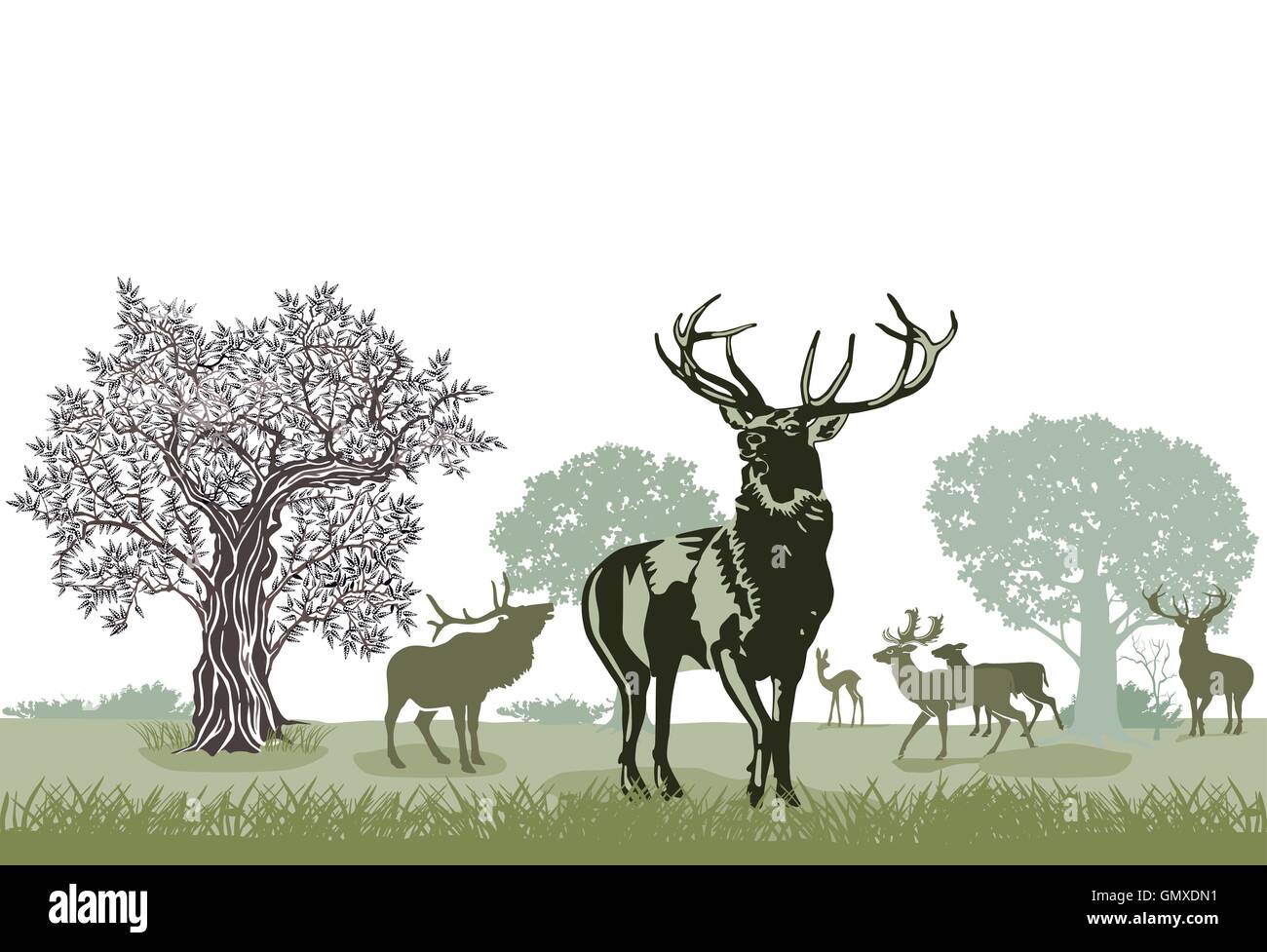 Pack de Red deer Illustration de Vecteur
