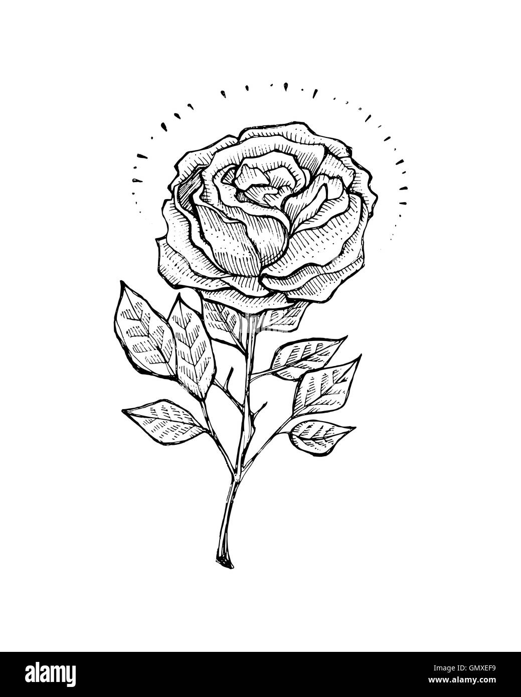 Illustration à la main ou d'un dessin d'une rose dans un style de tatouage Banque D'Images
