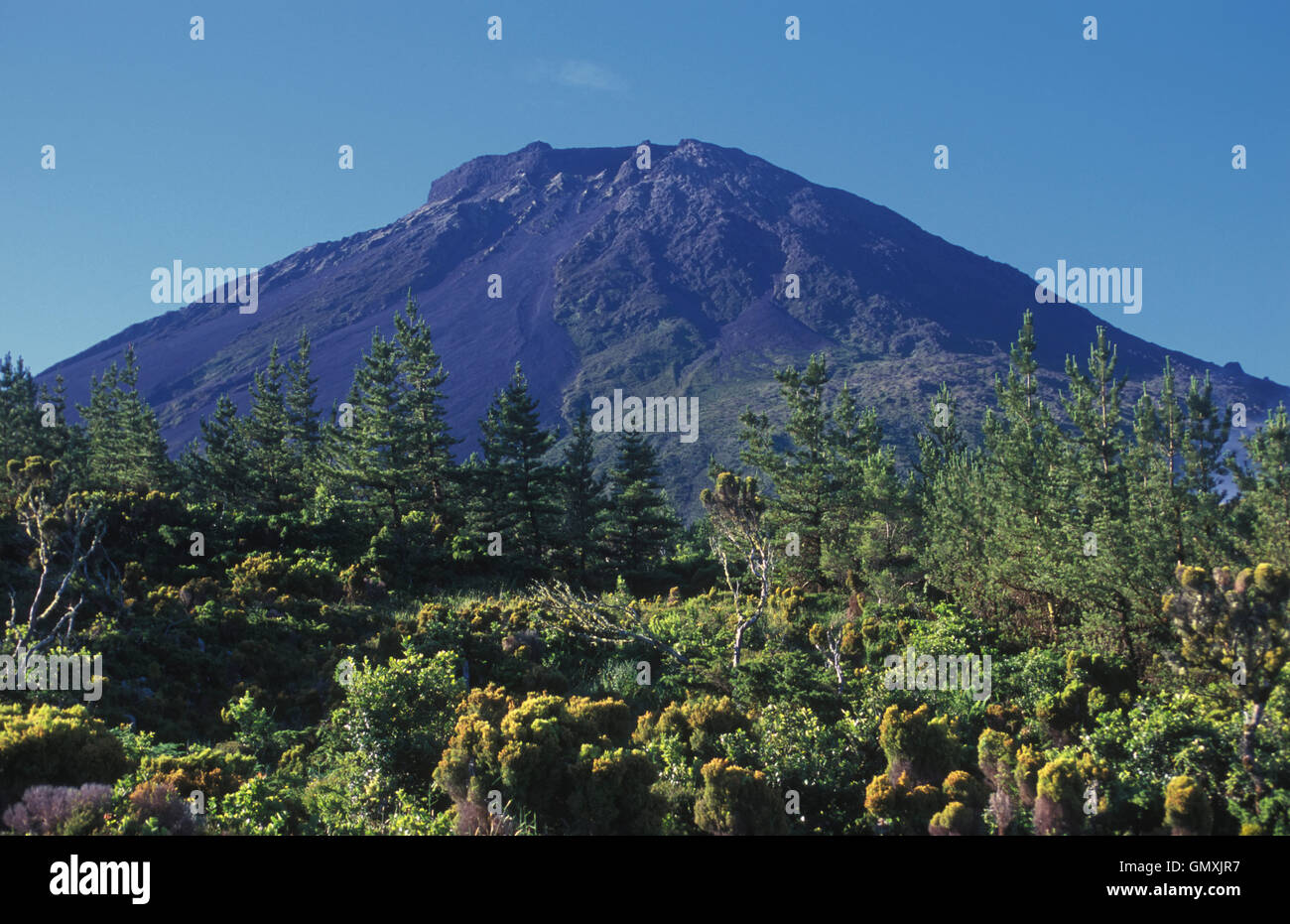 Volcan De Pico Mountain Cest La Plus Haute Montagne Du