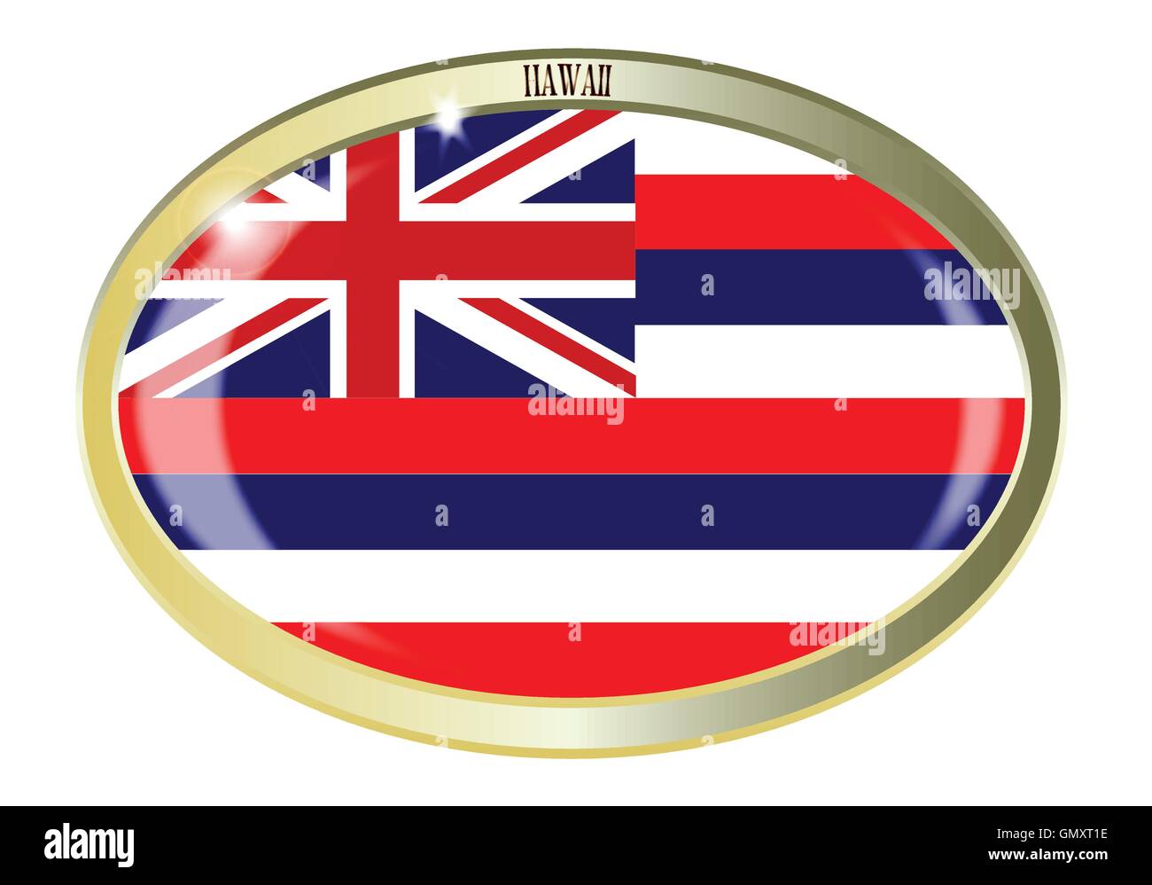 Drapeau de l'état d'Hawaï Bouton Ovale Illustration de Vecteur