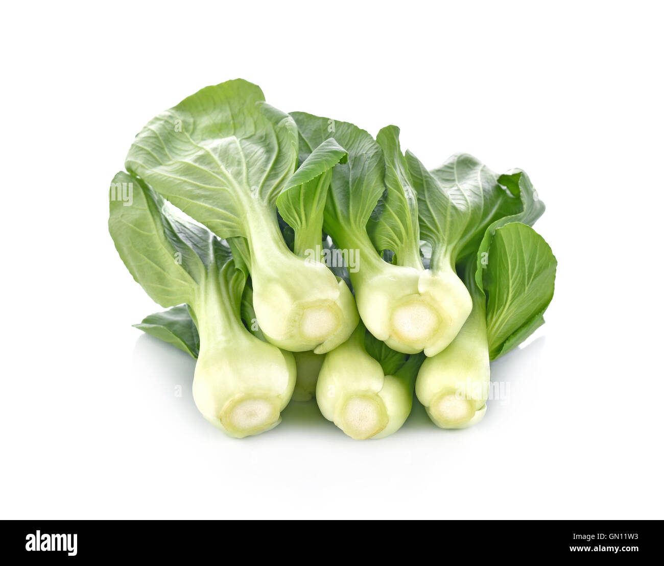 Le Bok choy légume sur fond blanc Banque D'Images