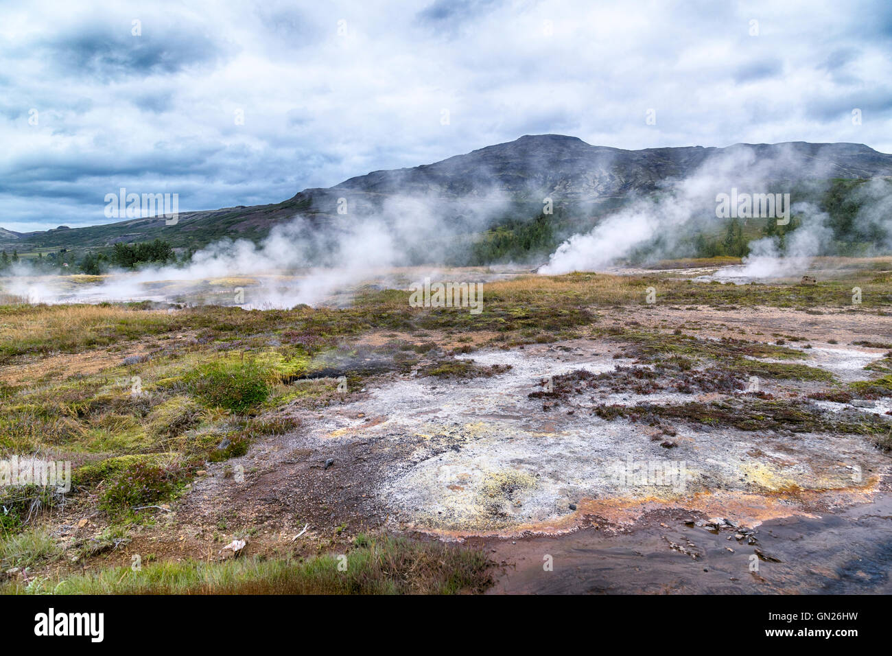 Litli Geysir, zone géothermique, Haukadalur, cercle d'or, Geysir, Reykjavik, Islande Banque D'Images