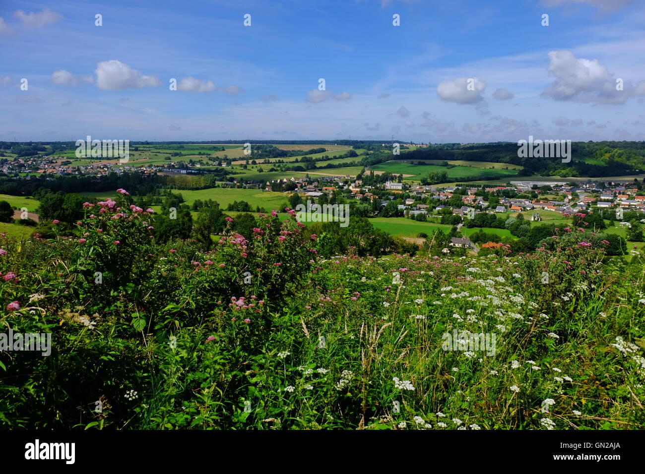 Campagne normande en août. Banque D'Images