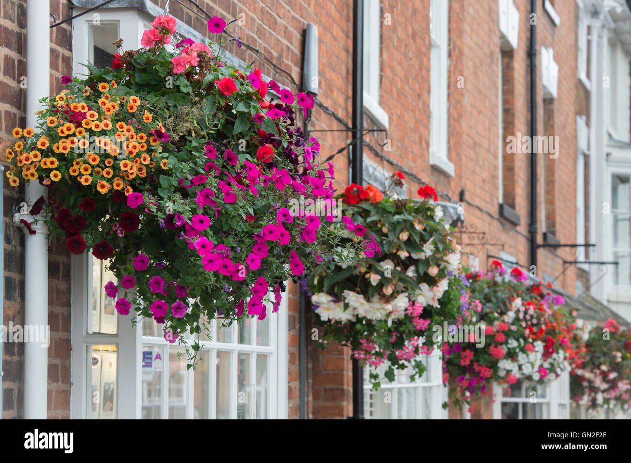 Paniers suspendus de fleurs sur house fronts dans la ville de Pershore, Worcestershire, Royaume-Uni Banque D'Images