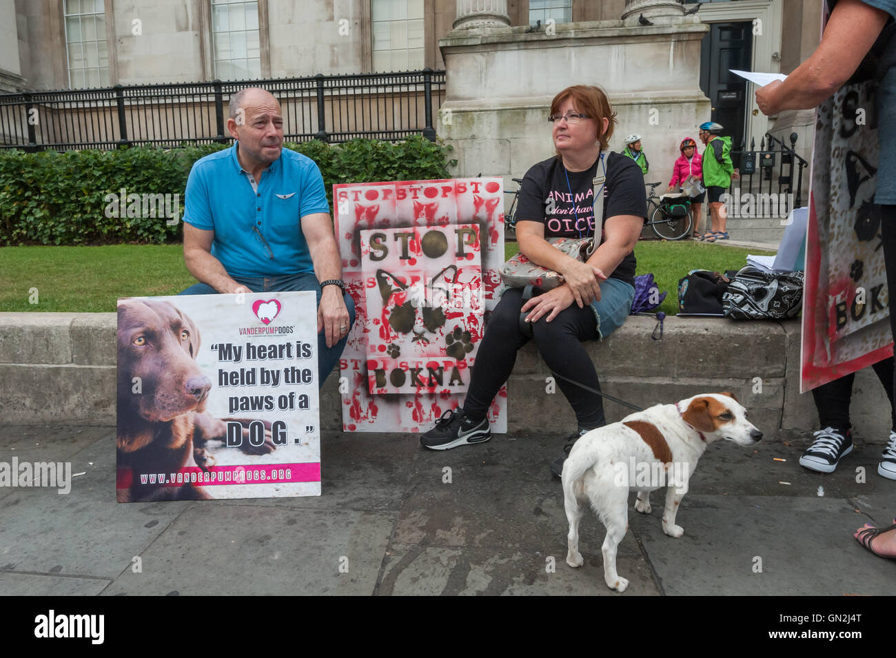 Londres, Royaume-Uni. 27 août 2016. Un petit groupe de manifestants ont marché autour de Londres, se terminant à Trafalgar Square pour protester contre le commerce de la viande de chien et chat pour la consommation, principalement dans l'Extrême-Orient, où des animaux vivants sont délibérément et sadiquement torturé à mort dans la croyance non fondée scientifiquement qu'infliger une douleur sur eux produit une viande plus tendre, augmente la virilité des hommes qui la mangent, et aide les gens à rester au frais par temps chaud. Le métier est d'être débattu au Parlement le mois prochain. Peter Marshall/Alamy Live News Banque D'Images