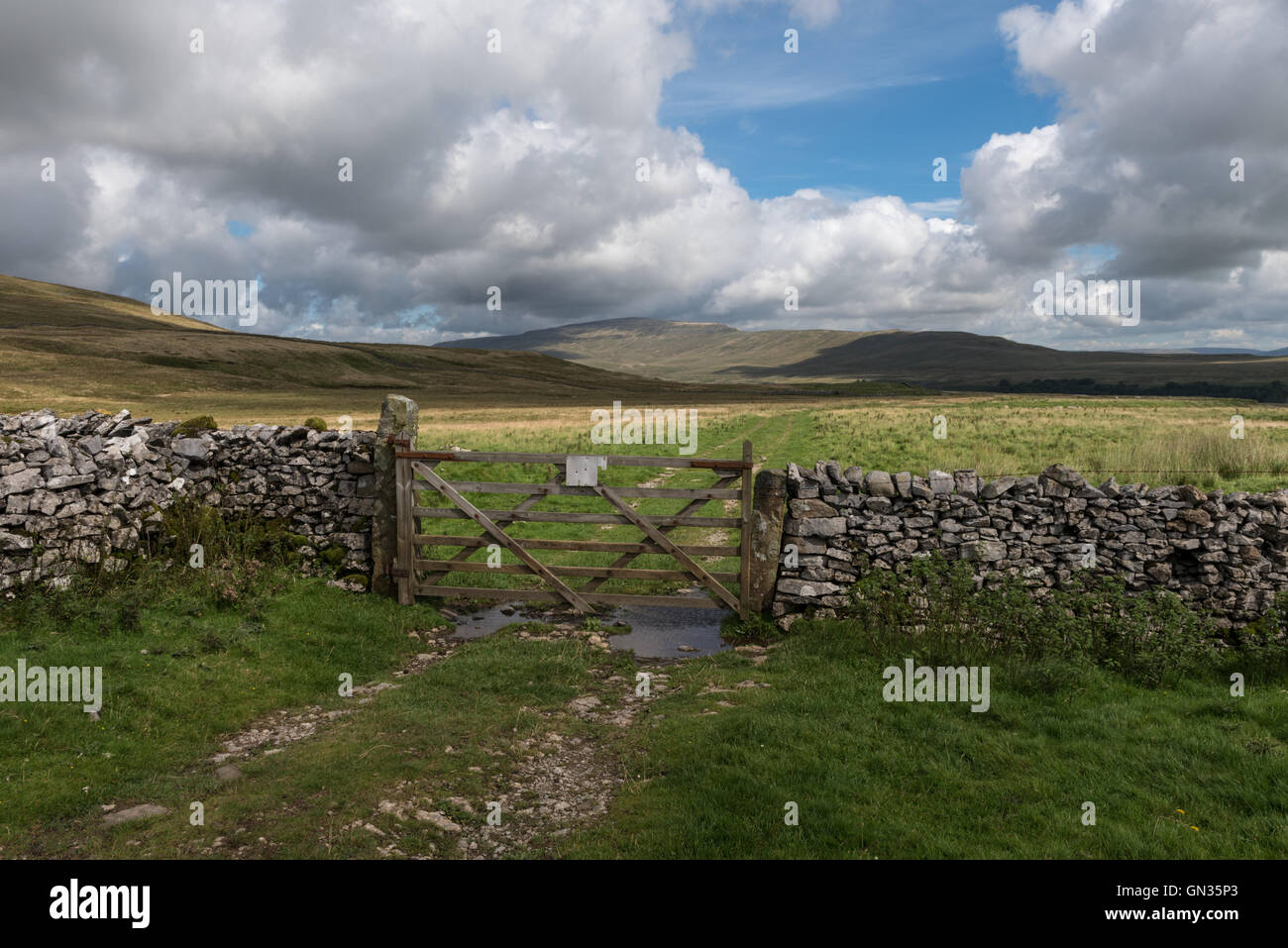 Whernside du Turbary Road, le Yorkshire Dales Banque D'Images