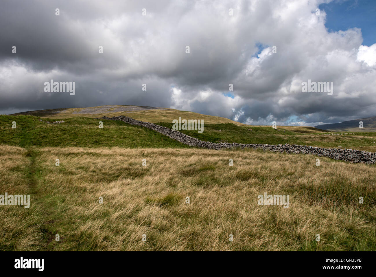 Les pentes inférieures des Gragareth dans le Yorkshire Dales Banque D'Images