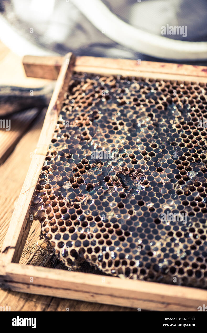 Fermer avec du miel d'abeilles Banque D'Images