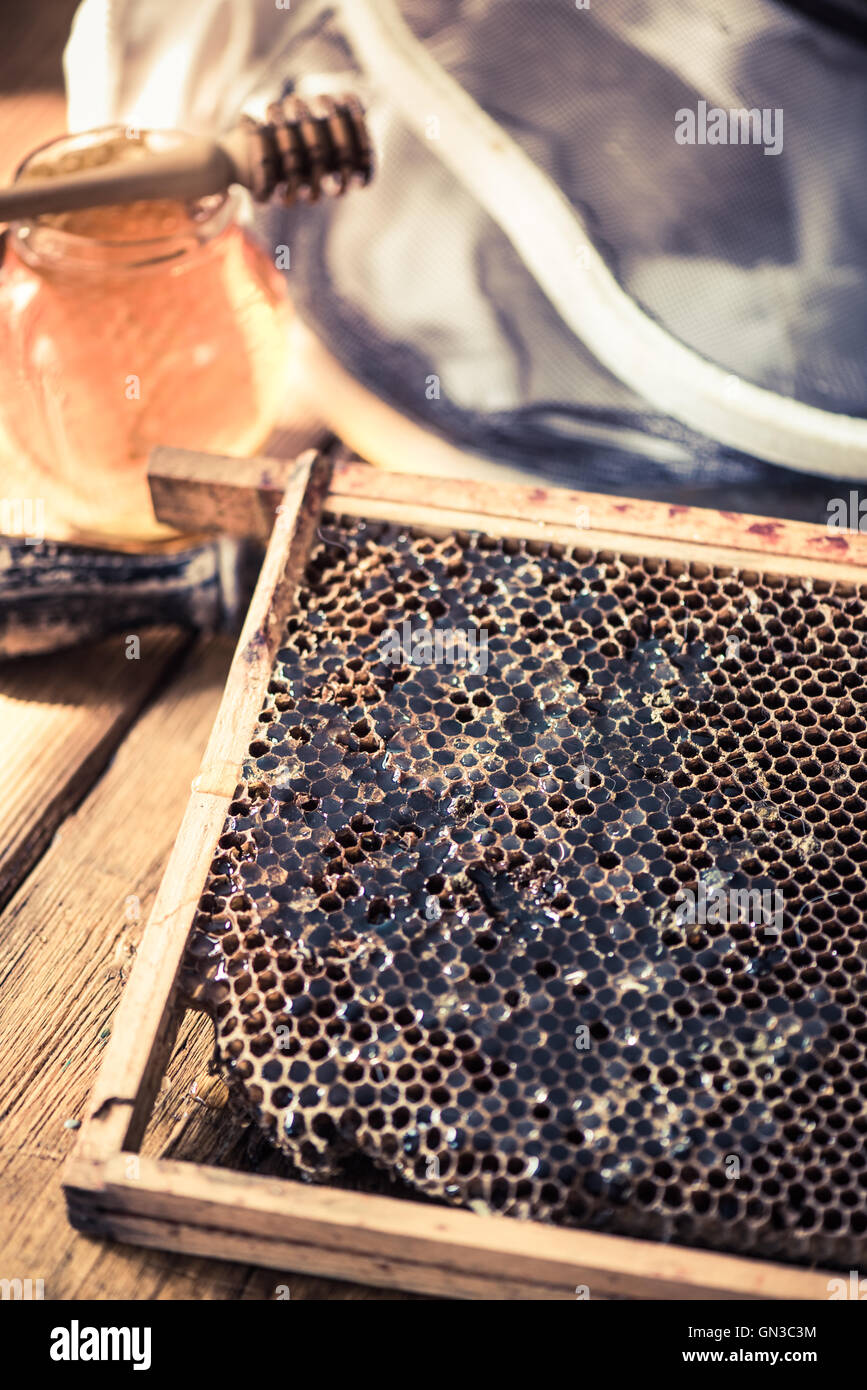 Fermer avec du miel d'abeilles Banque D'Images