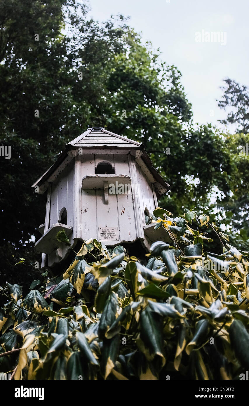 Cabane d’oiseaux Banque D'Images