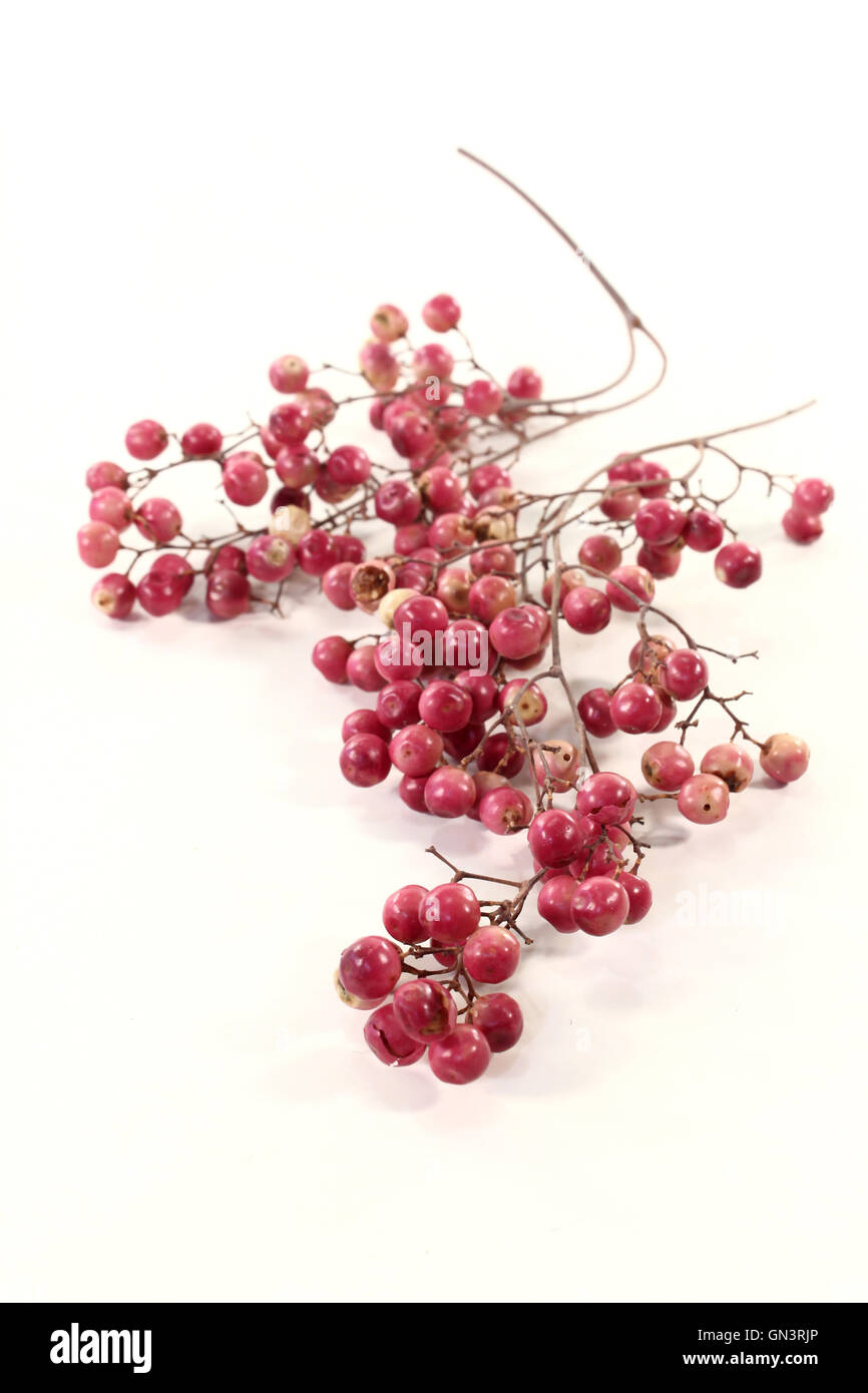 poivre rose Banque D'Images