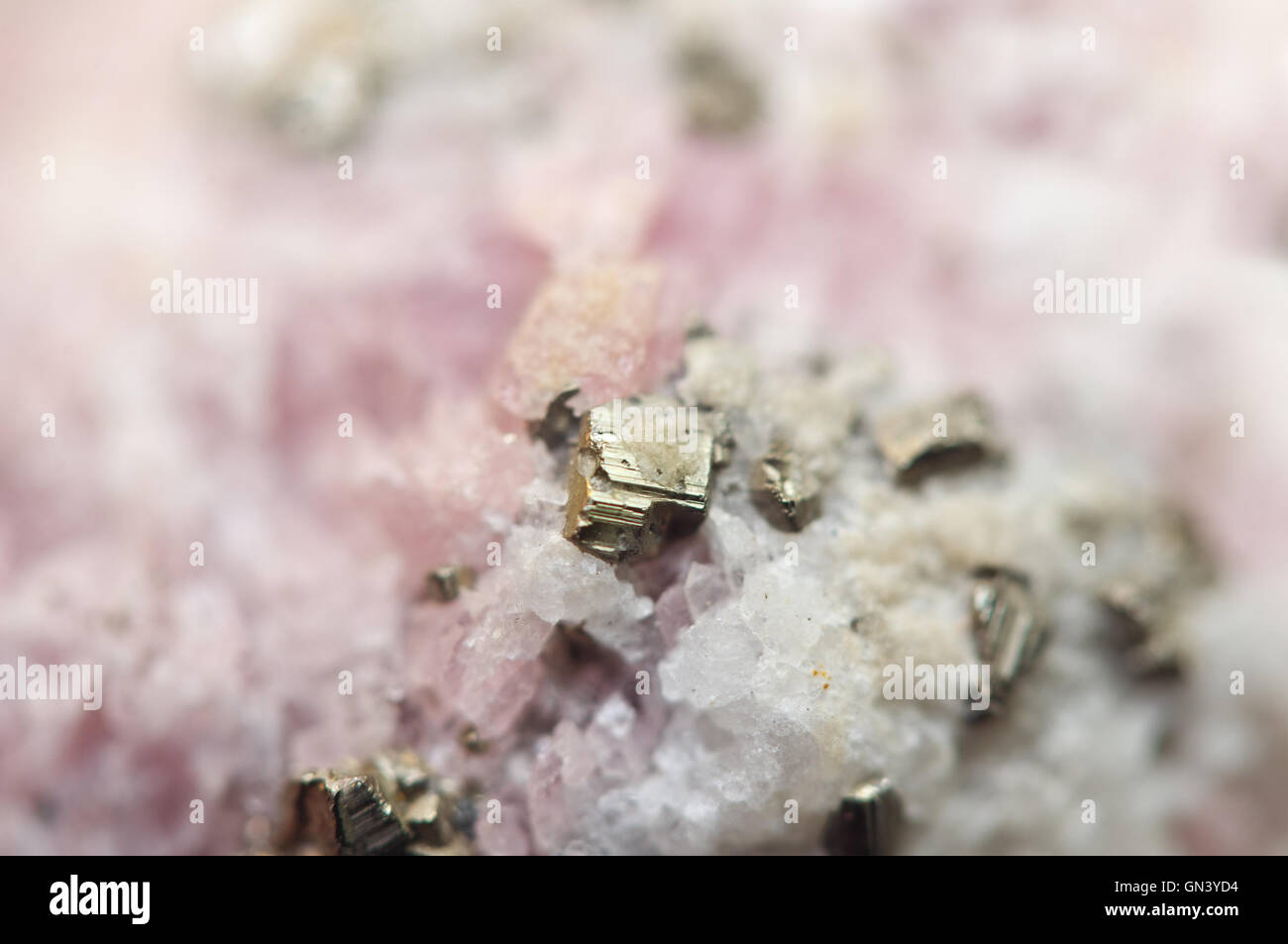 Rhodochrosite est un carbonate de manganèse minéral avec composition chimique MnCO3 avec de la pyrite de fer FeS2 Macro Banque D'Images