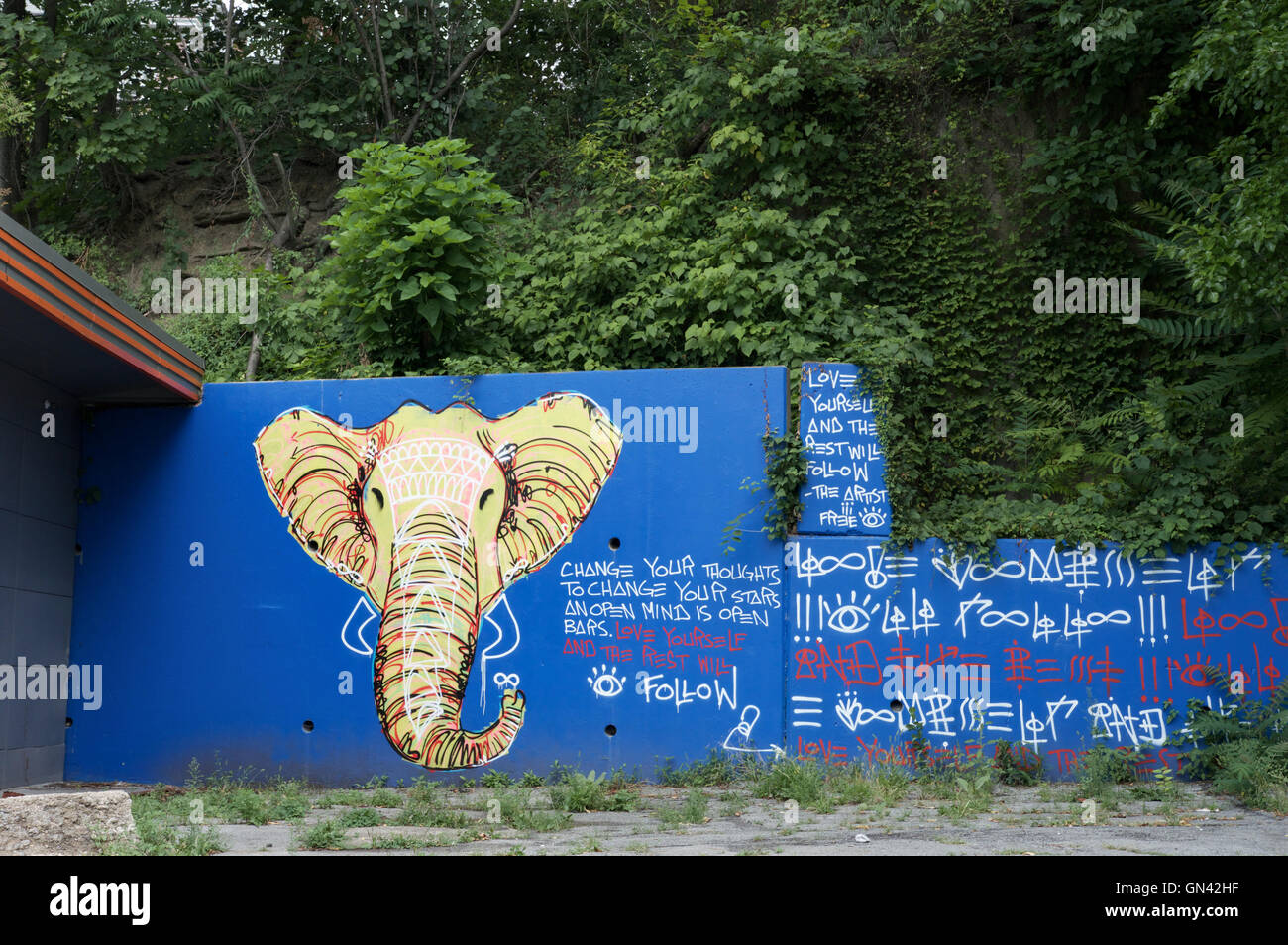 Une murale peinte de couleurs vives d'un éléphant dans la région de Pittsburgh's Allentown quartier. Banque D'Images