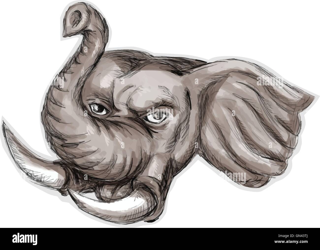 La tête de l'éléphant d'Aquarelle Illustration de Vecteur