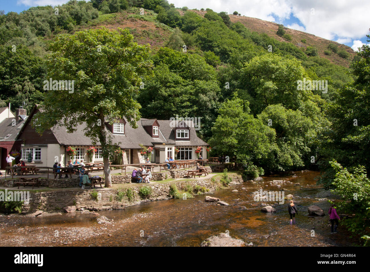 Fingle Bridge Inn sur la rivière Teign près de Drewsteignton, au sein du Parc National de Dartmoor, dans le Devon Banque D'Images