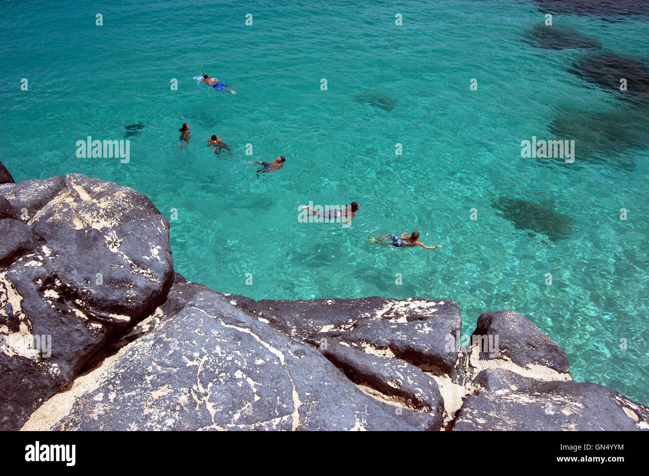 Vue aérienne de nageurs dans les eaux cristallines de la baie de Waimea, Oahu, Hawaii Banque D'Images