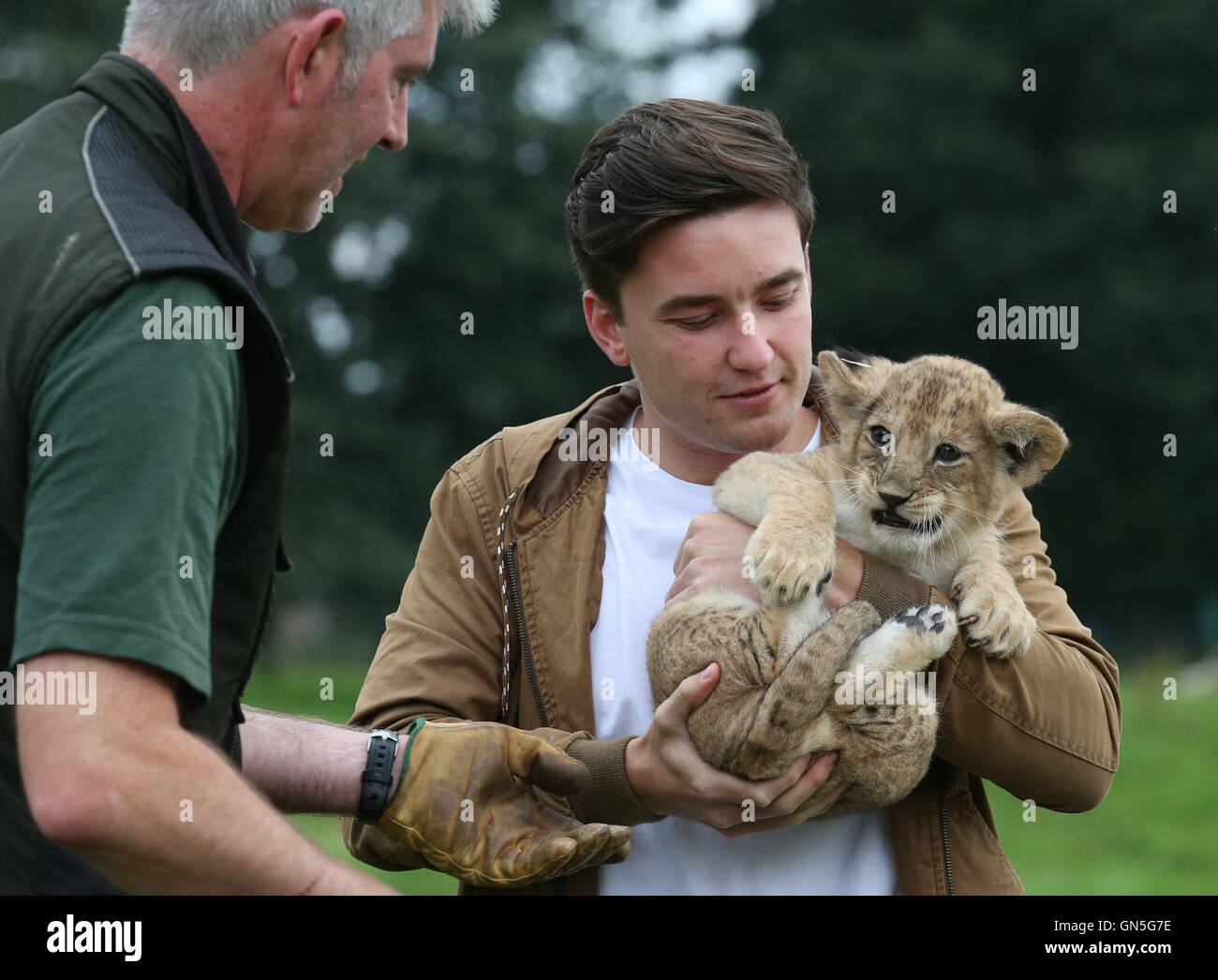 Keeper Ben Houston regarde ParalympicsGB Gordon membre de l'équipe de Reid Reid est titulaire d'un lionceau, nommé d'après lui, comme il rend visite à Blair Drummond Safari Park de Stirling avant de prendre l'avion à Rio. Banque D'Images