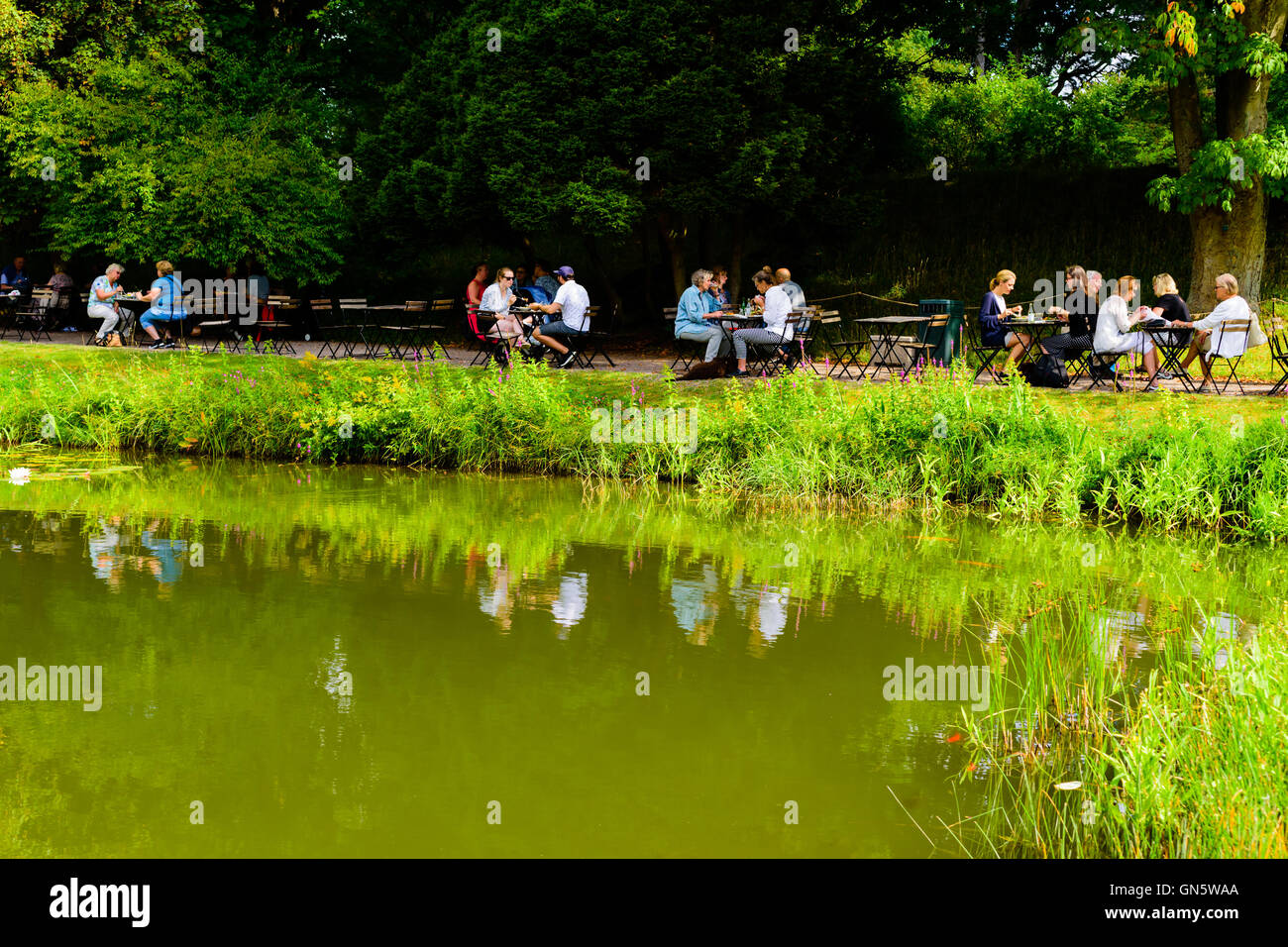 Lund, Suède - 24 août 2016 : Les gens en train de déjeuner à côté d'un étang d'eau je le public jardin botanique. Goldfish swimming in wate Banque D'Images
