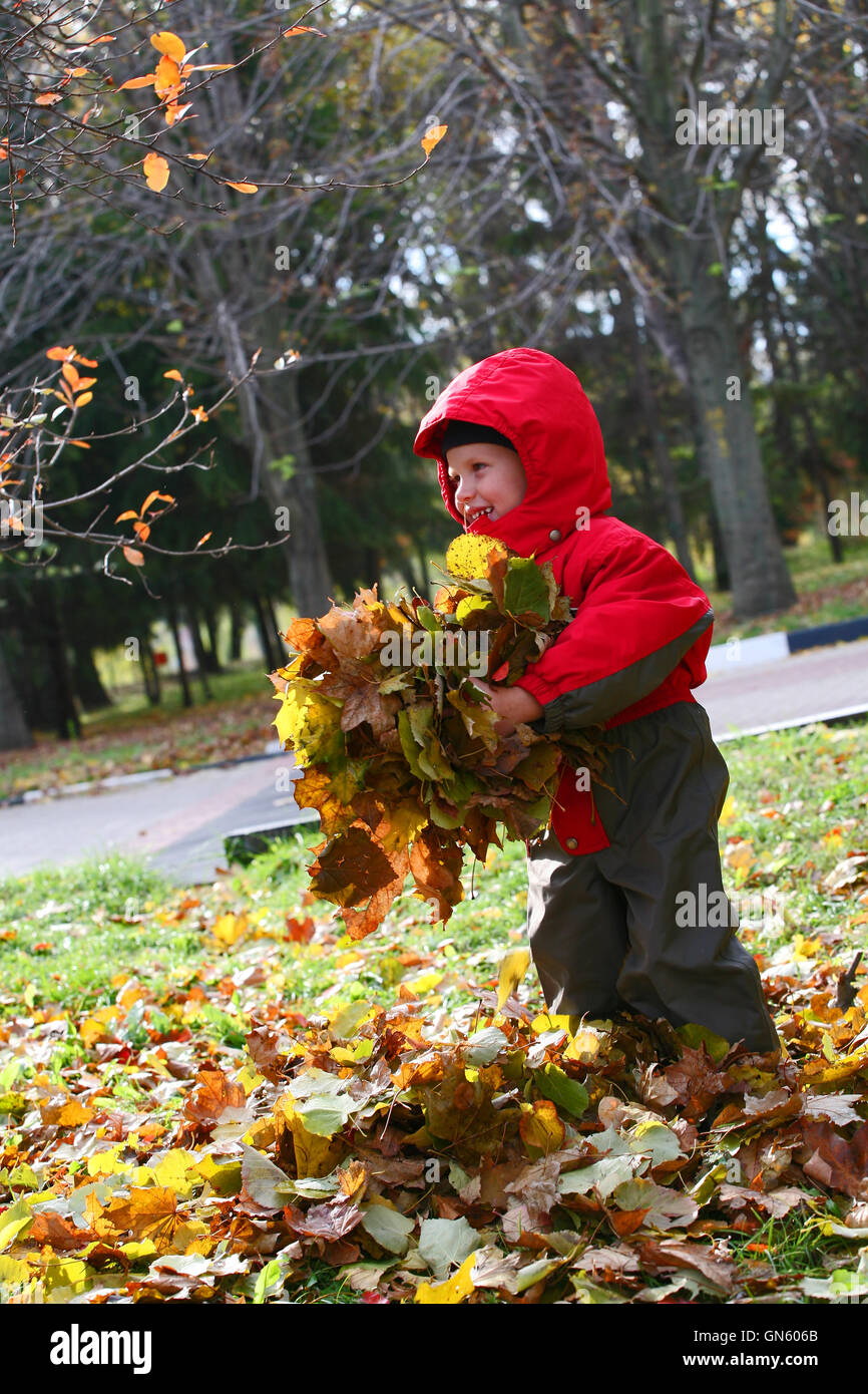 Smiling boy joue avec des feuilles jaunes Banque D'Images