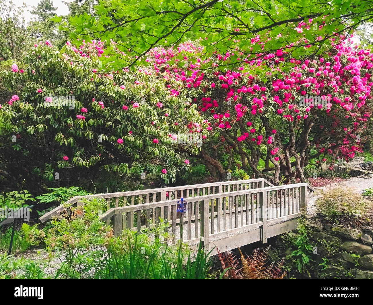 Un pont arbres plantes et fleurs dans un jardin Banque D'Images