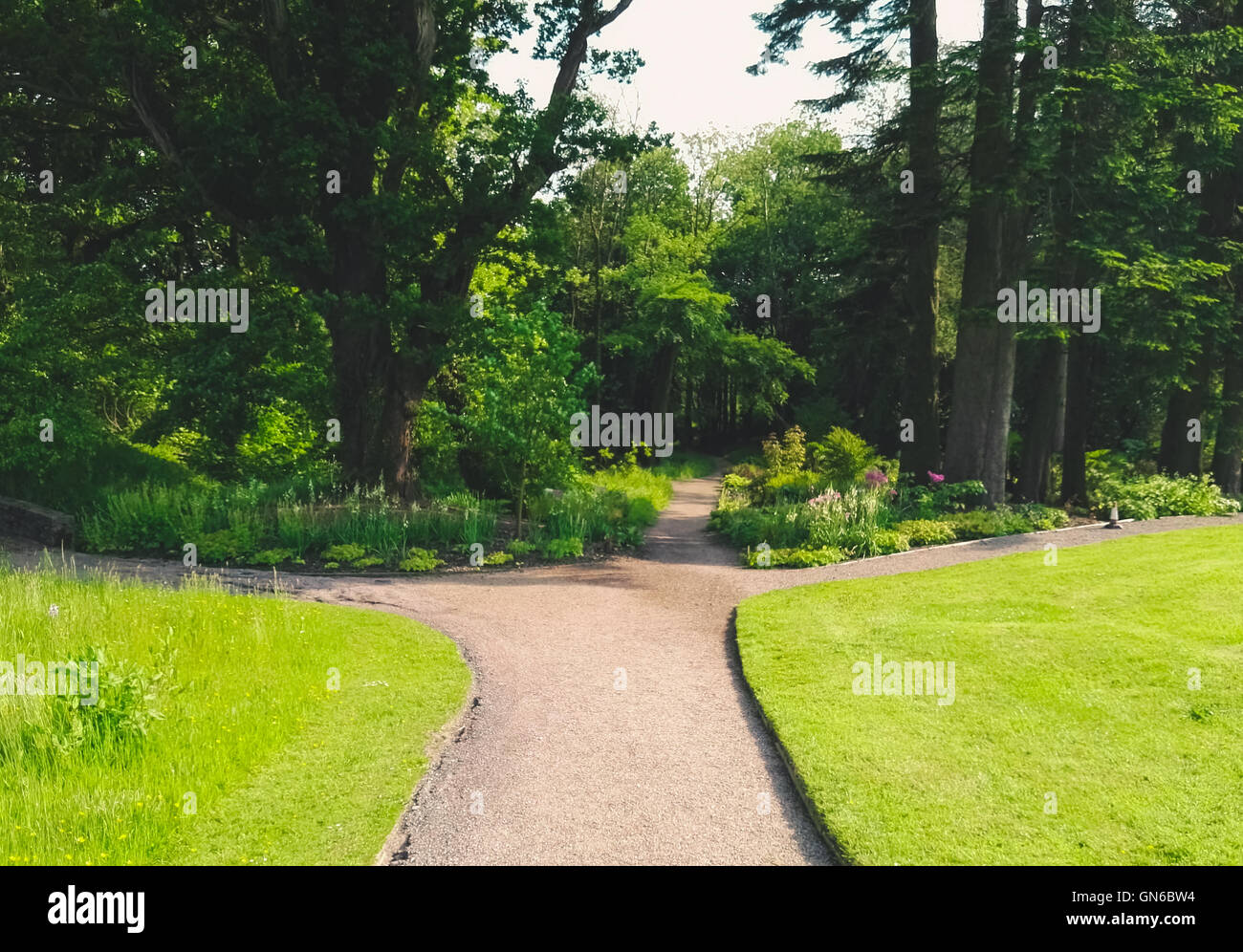 Chemin dans le parc, au Jardins Aberglasney Banque D'Images