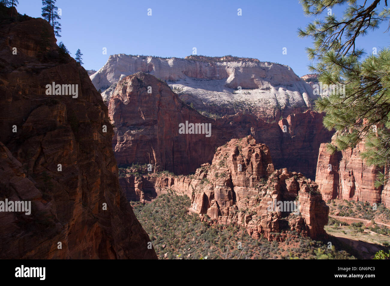 Zion National Park Banque D'Images