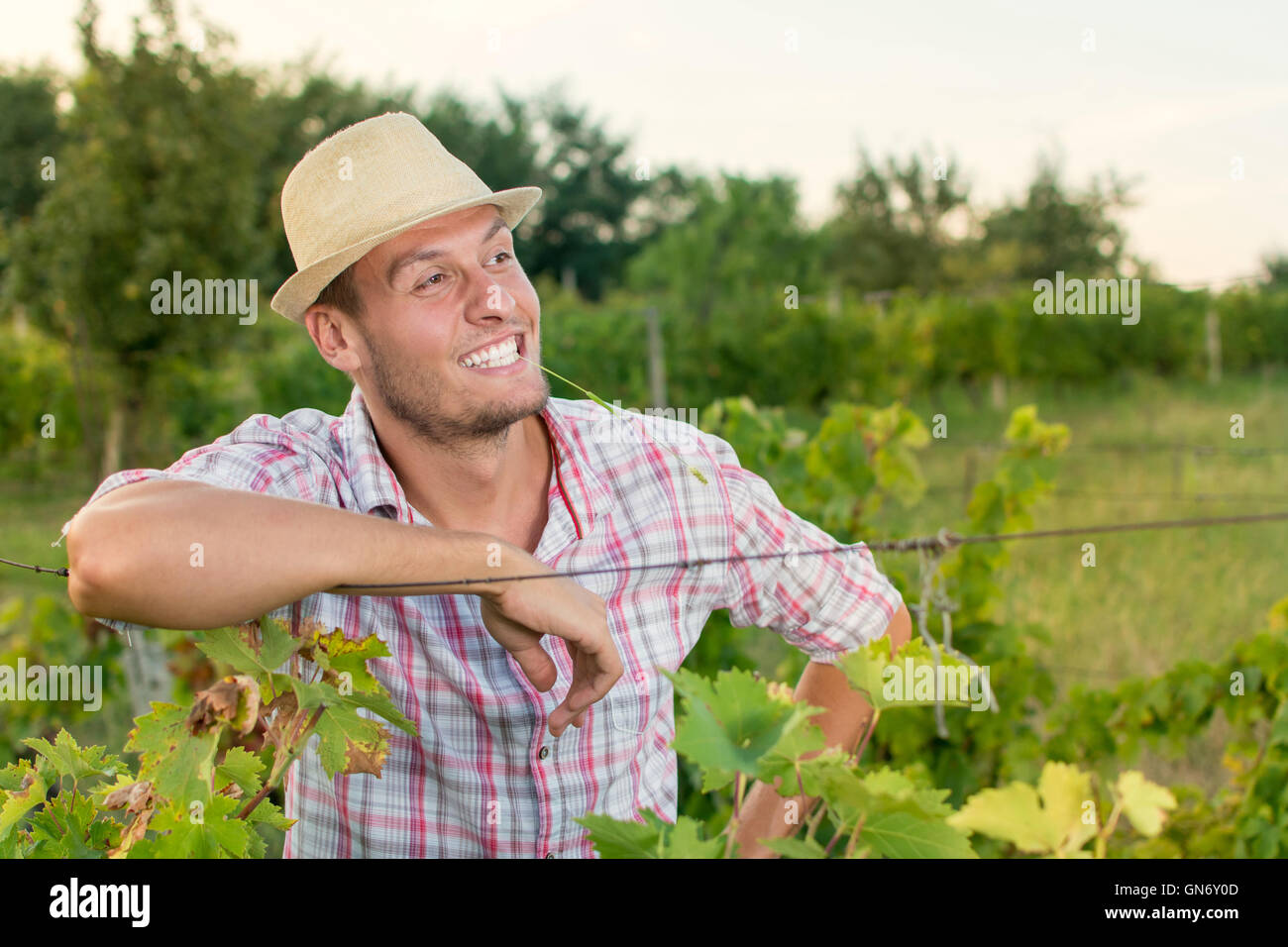 Les jeunes heureux propriétaire agricole dans le vignoble Banque D'Images