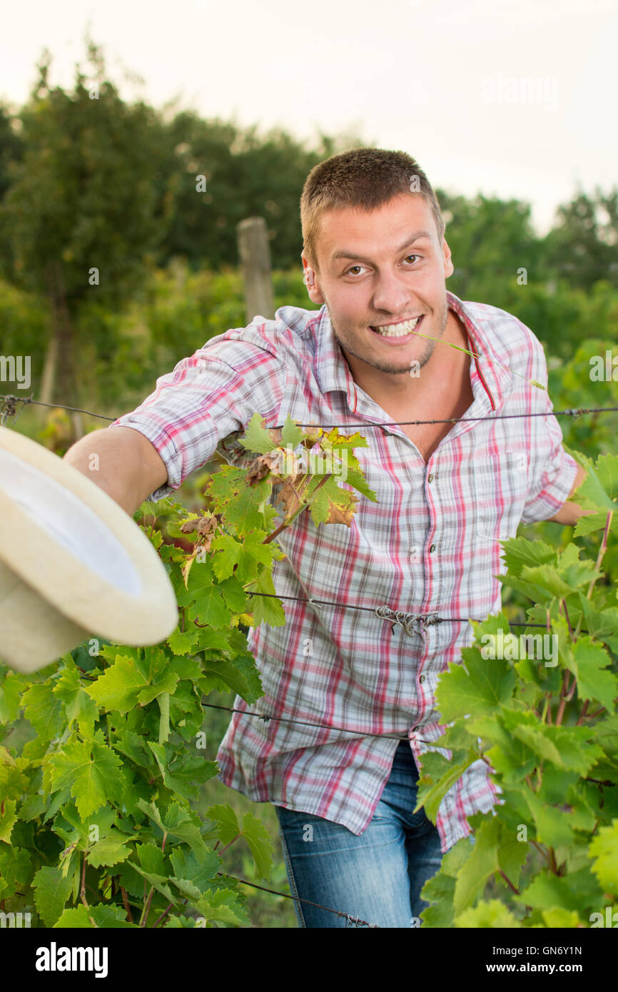Homme heureux propriétaire agricole dans le vignoble Banque D'Images