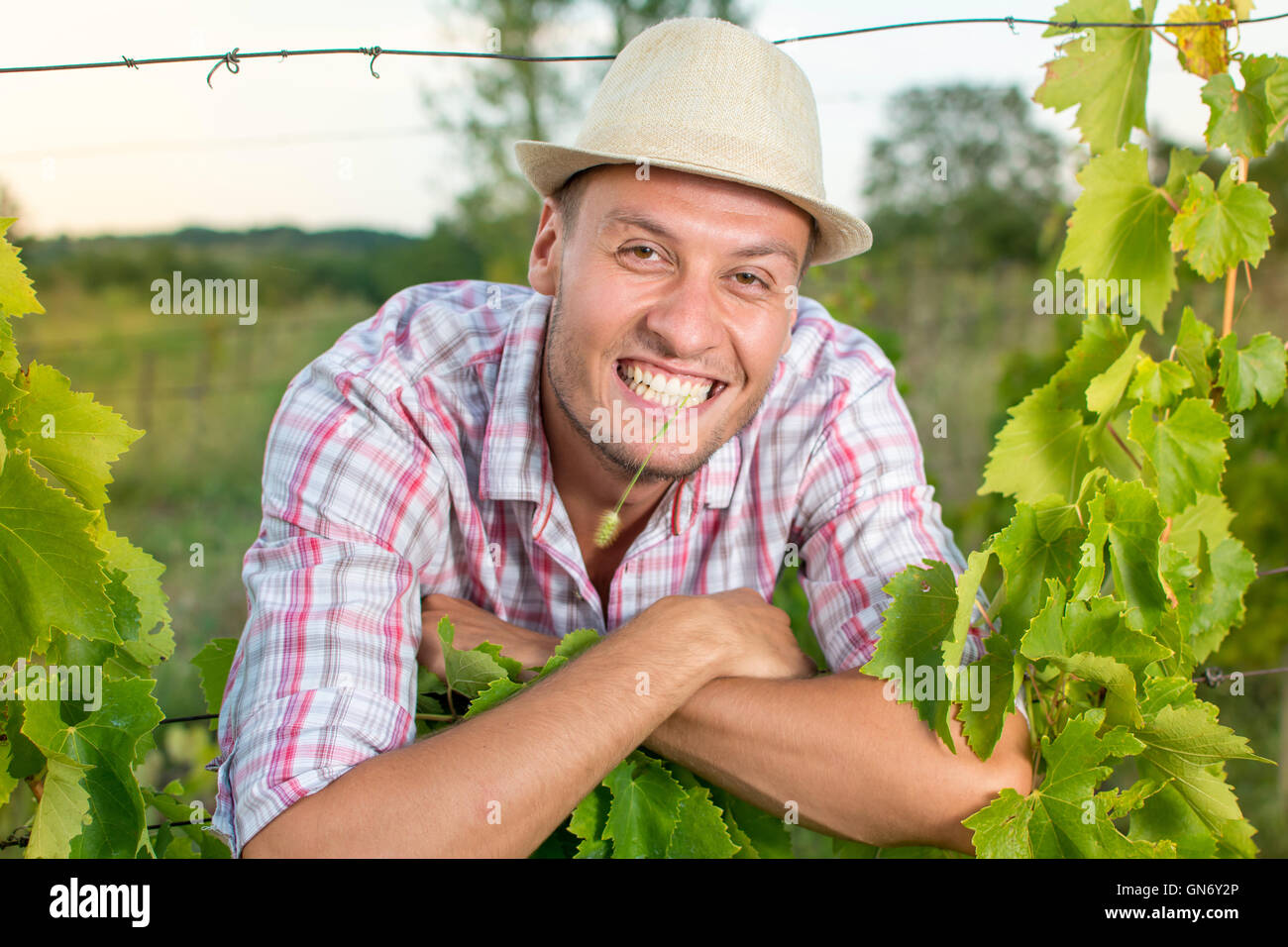 Les jeunes heureux propriétaire agricole dans le vignoble Banque D'Images