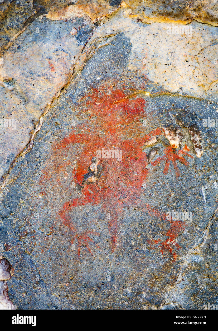 Gila Cliff dwellings National Monument Banque D'Images