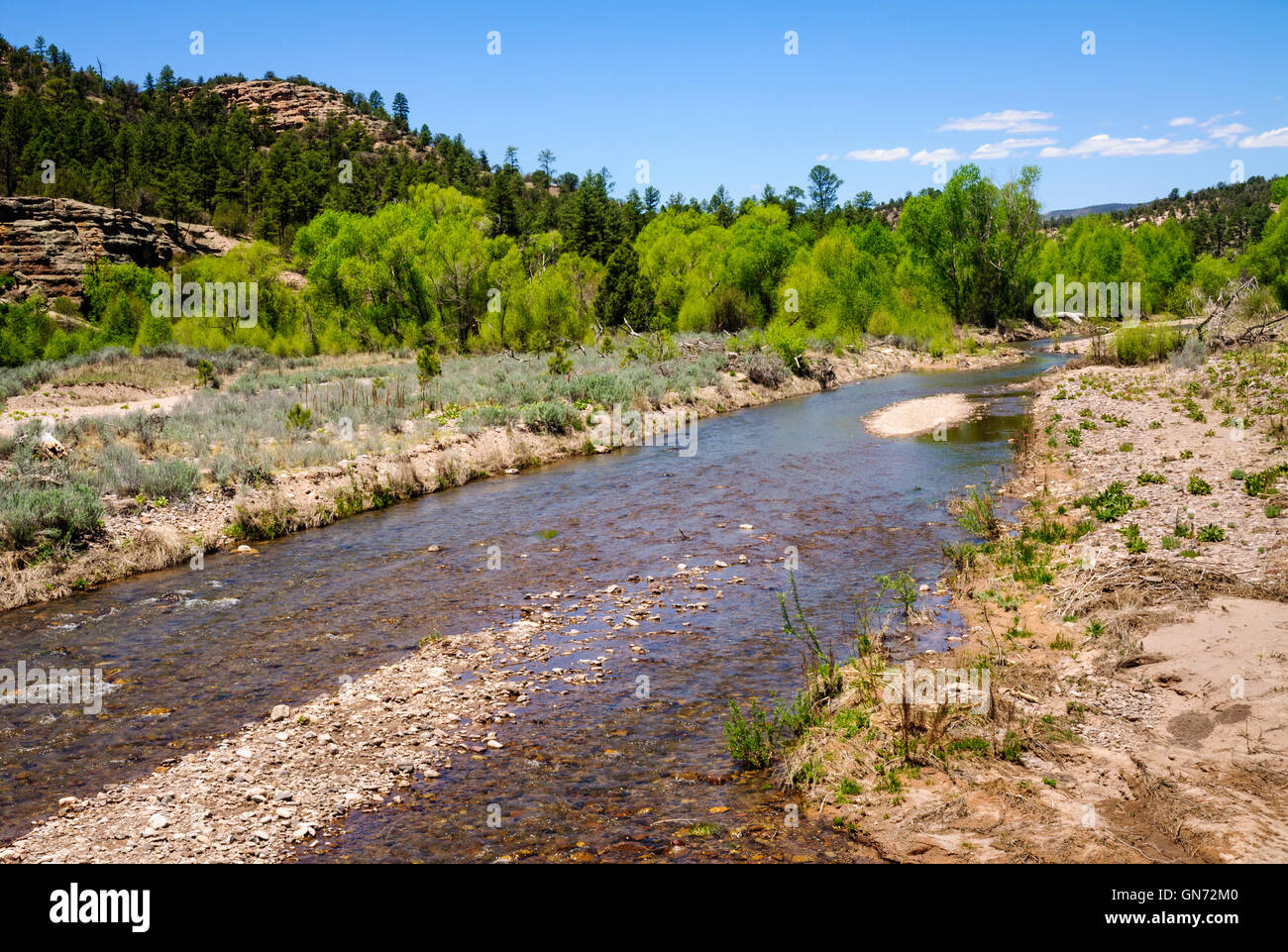 Gila Cliff dwellings National Monument Banque D'Images