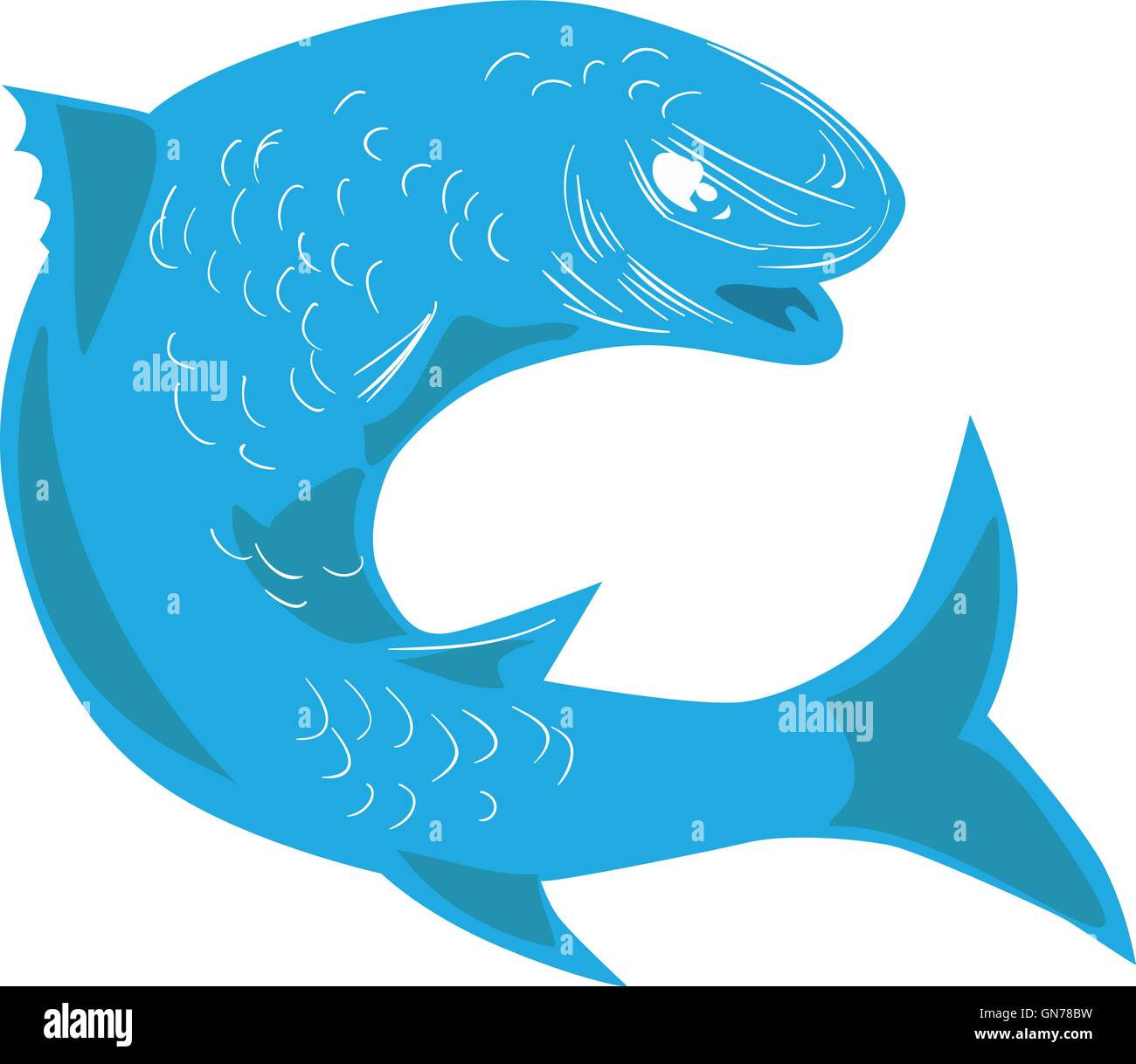 Croquis dessin illustration d'un style ou de mulet mulet d'une famille mugilidés dans l'ordre de saut, vu du côté situé sur fond blanc isolé. Illustration de Vecteur