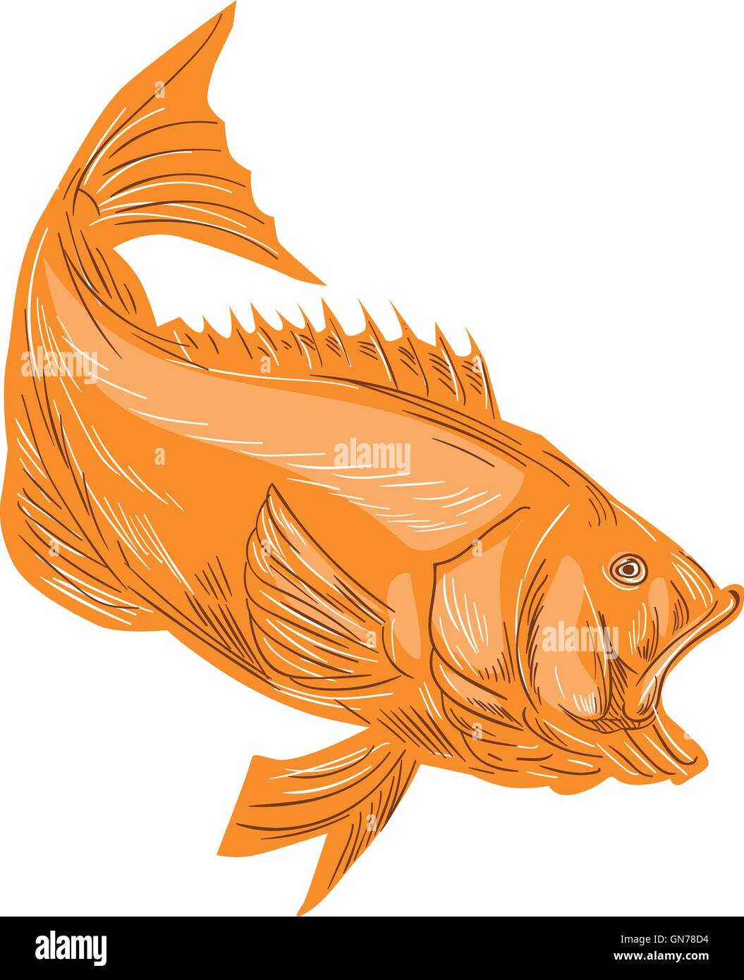 Style croquis dessin illustration d'un achigan à grande bouche plongée poisson vu de côté situé sur fond blanc isolé. Illustration de Vecteur