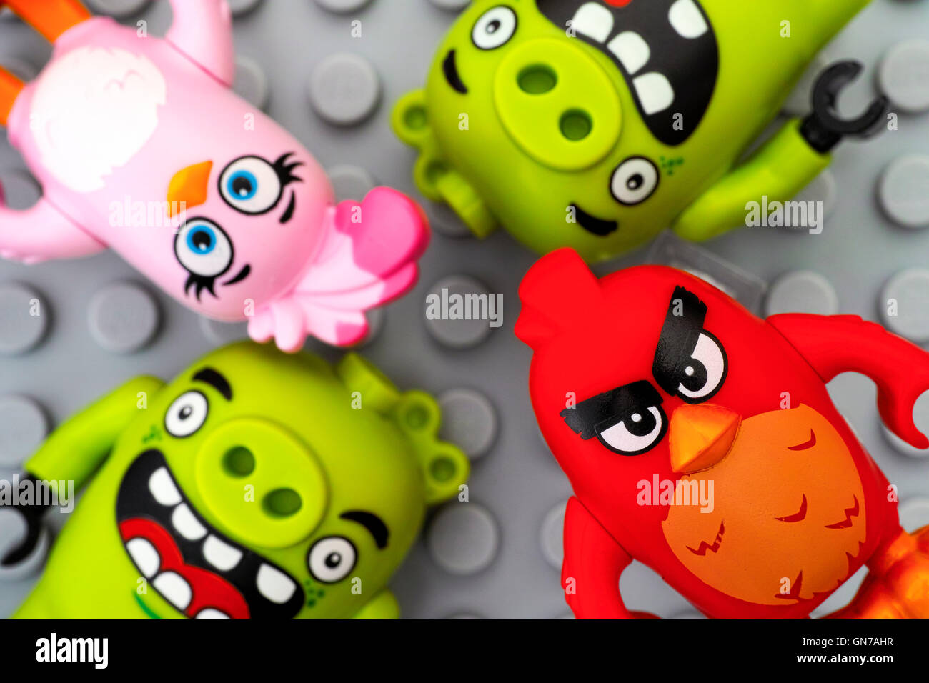 Tambov, Fédération de Russie - Mai 12, 2016 Angry Birds Lego. Rouge, Stella et deux bad piggies sur fond gris Lego plaque de base. Banque D'Images