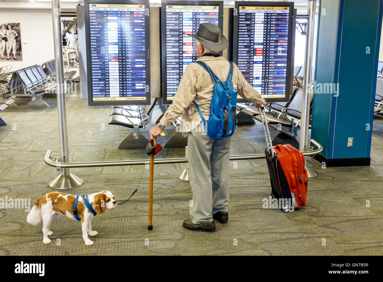 Aéroport international de Miami Florida, moniteurs d'information de vol de terminal, homme homme homme senior service citoyen chien laisse canne intérieur Banque D'Images