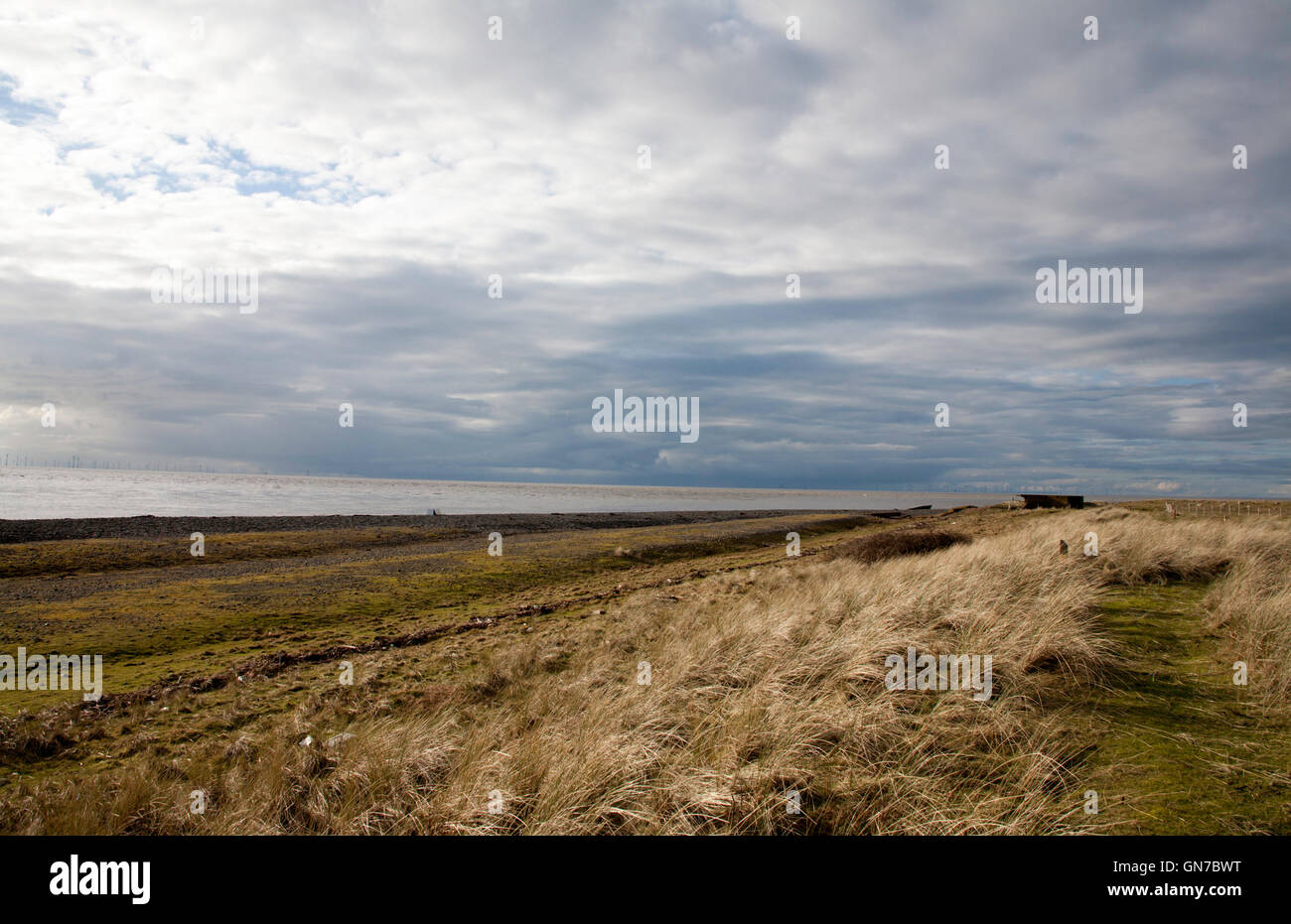 La réserve naturelle du sud de l'Île Walney Walney sur la baie de Morecambe Barrow-in-Furness Cumbria England Banque D'Images