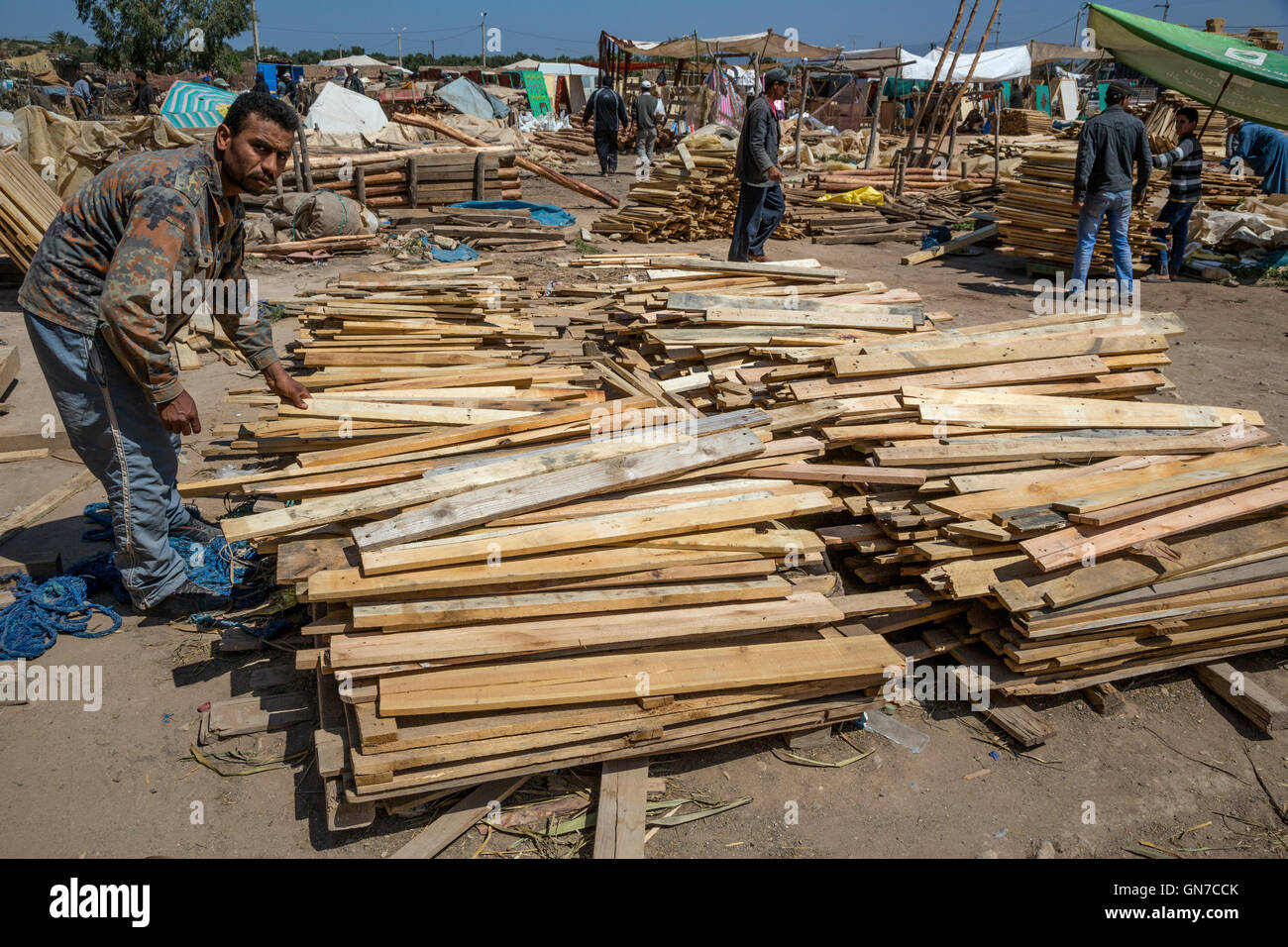 Le Maroc. Le bois pour la vente. Draa avait marché, Province d'Essaouira. Banque D'Images