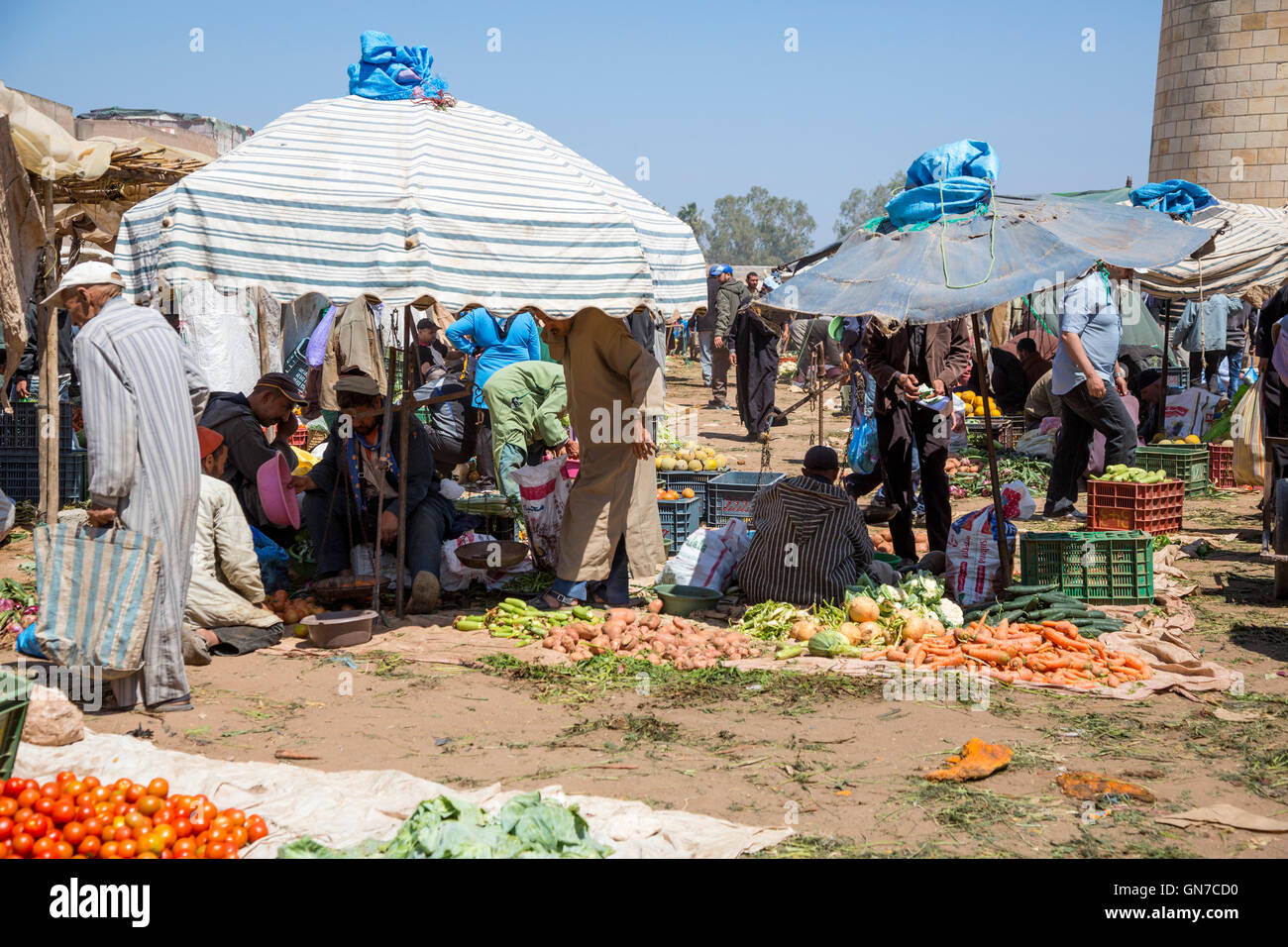 Le Maroc. Des légumes pour la vente, ont marché du Draa, Province d'Essaouira. Banque D'Images