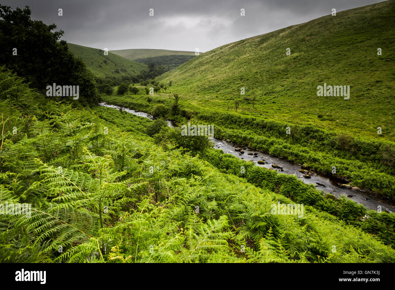 Badgworth l'eau dans l'Doone Valley, Exmoor, UK Banque D'Images