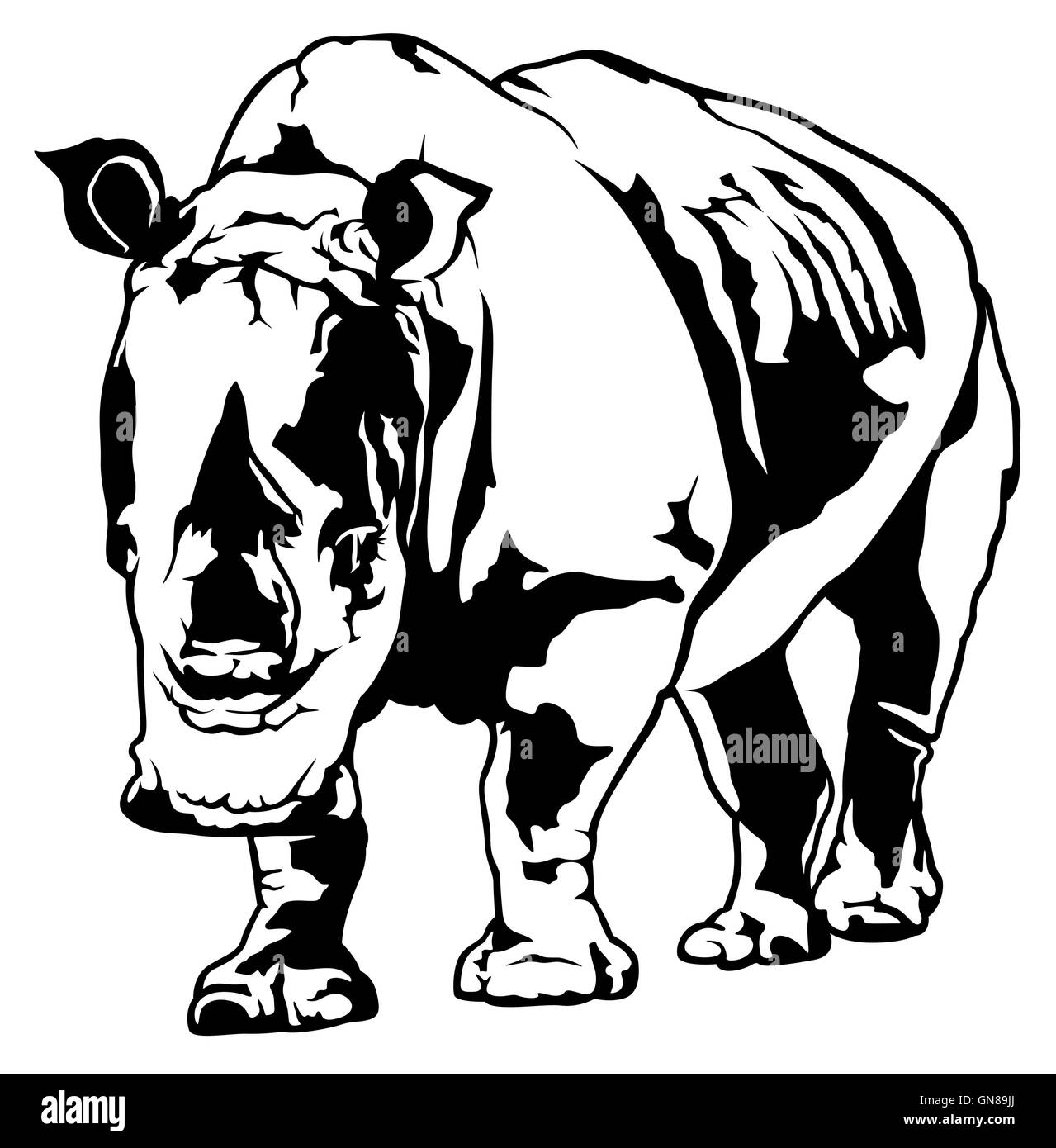 Rhinocéros Illustration de Vecteur