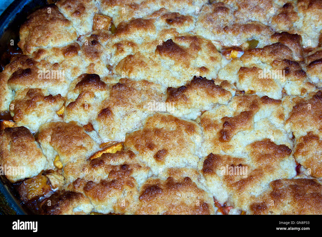 Blueberry cobbler apple boulangerie biscuit avec garniture Banque D'Images