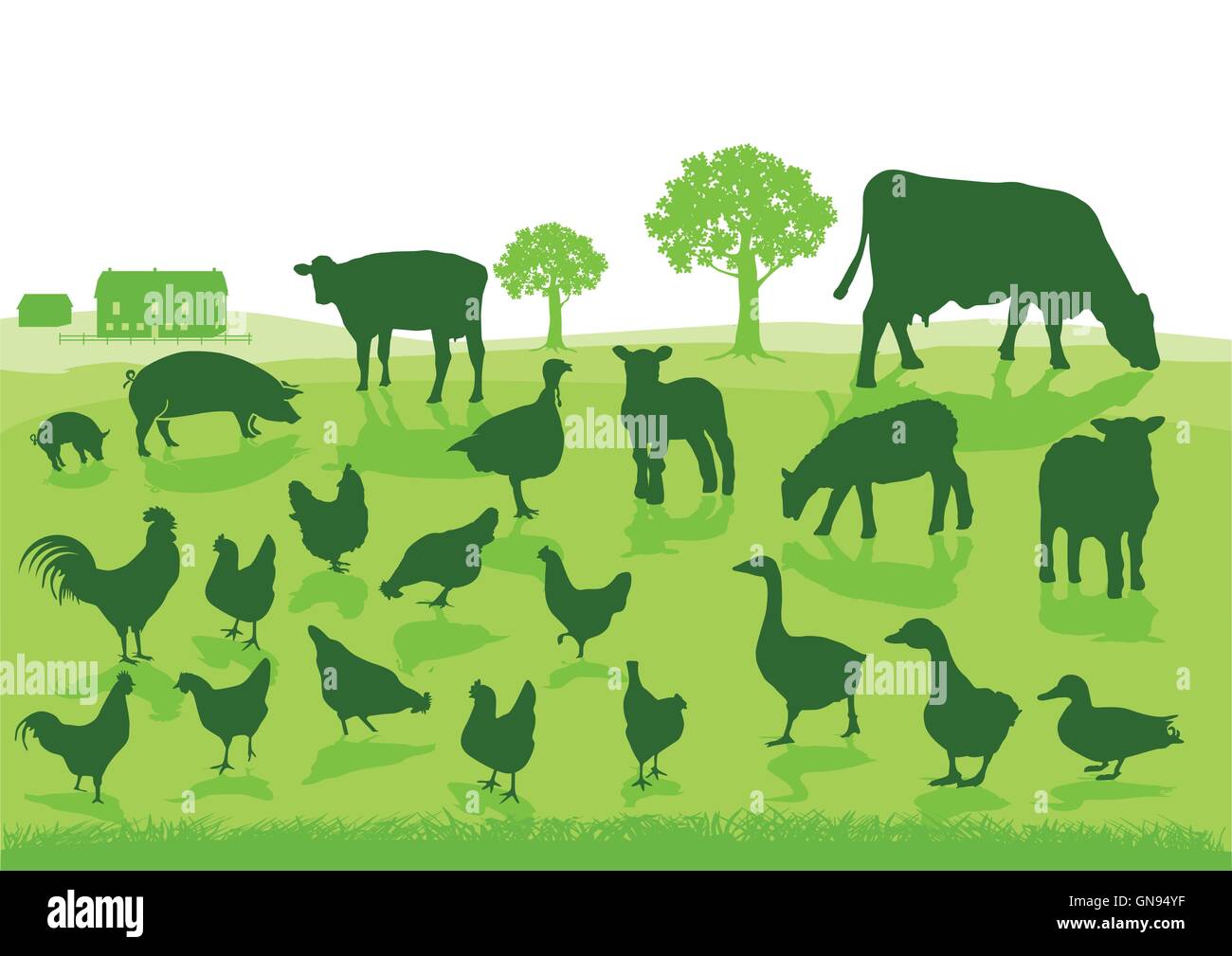 L'agriculture biologique avec des animaux de ferme Illustration de Vecteur