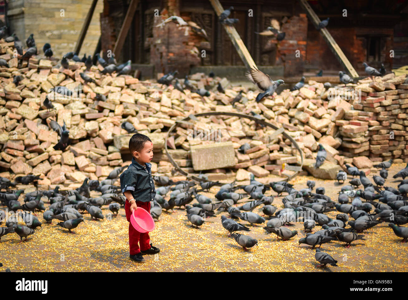 Un petit garçon nourrit des pigeons dans la cour avant du temple de Jagannath entouré de pieu de briques, un an après les tremblements de terre de 2015. Banque D'Images