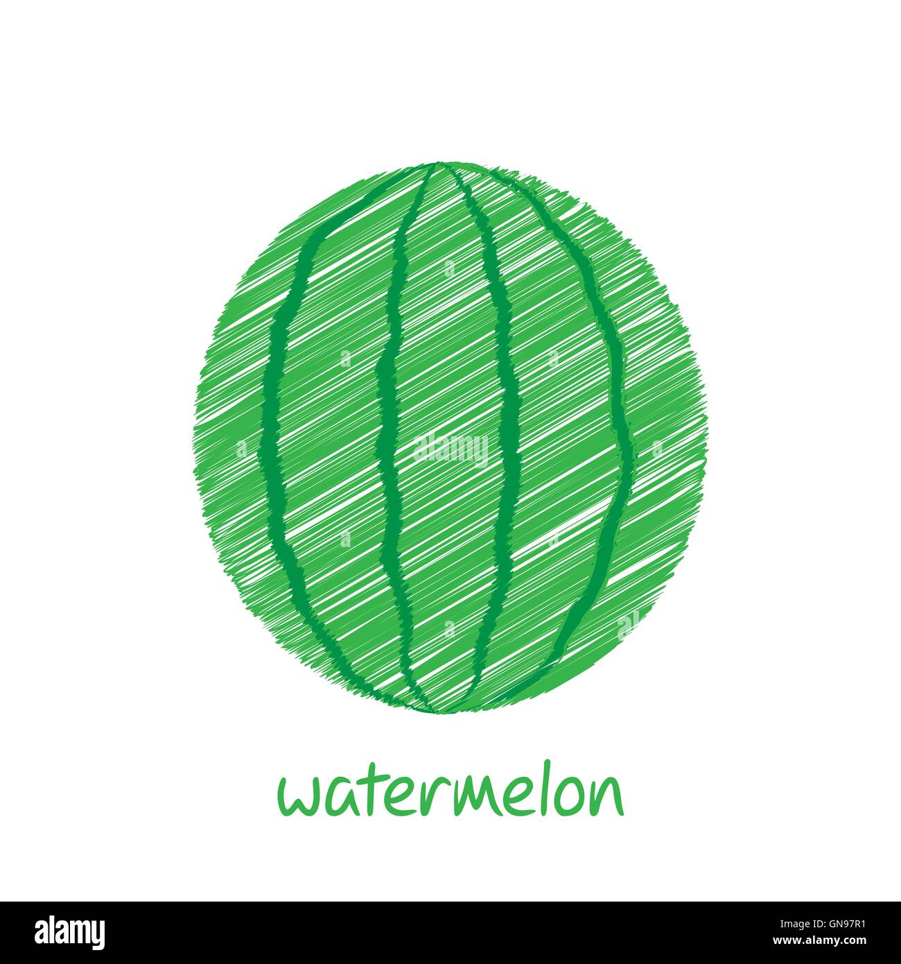 Watermelon fruits, vecteur de conception de croquis Illustration de Vecteur