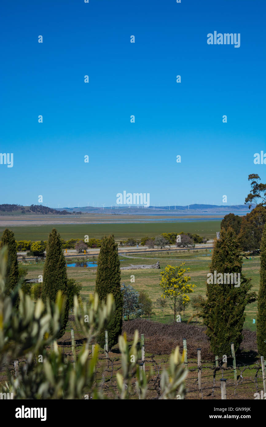 La vue de Lerida Estate Wines, vers le lac George, au nord de Canberra Banque D'Images