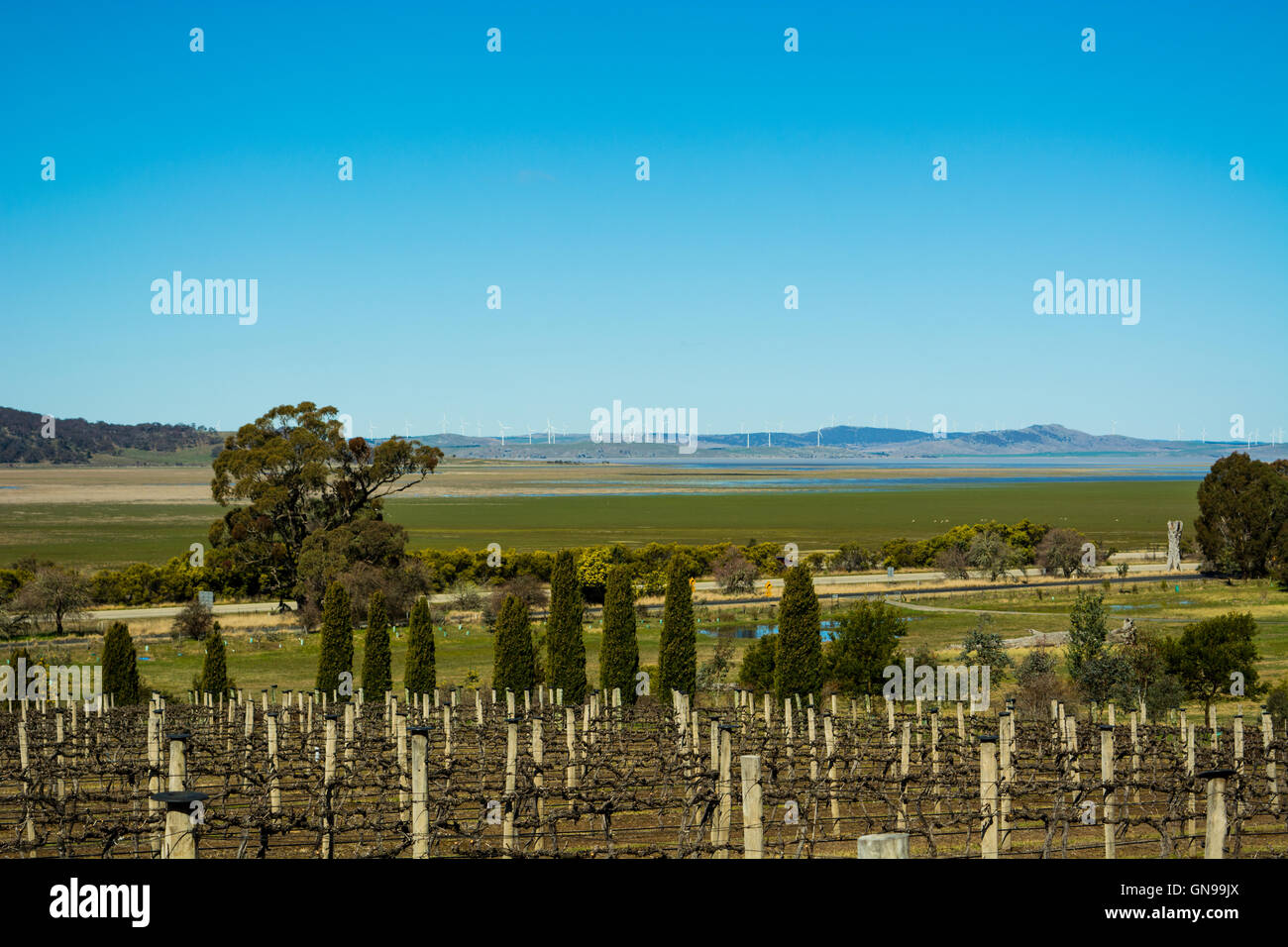 La vue de Lerida Estate Wines, vers le lac George, au nord de Canberra Banque D'Images