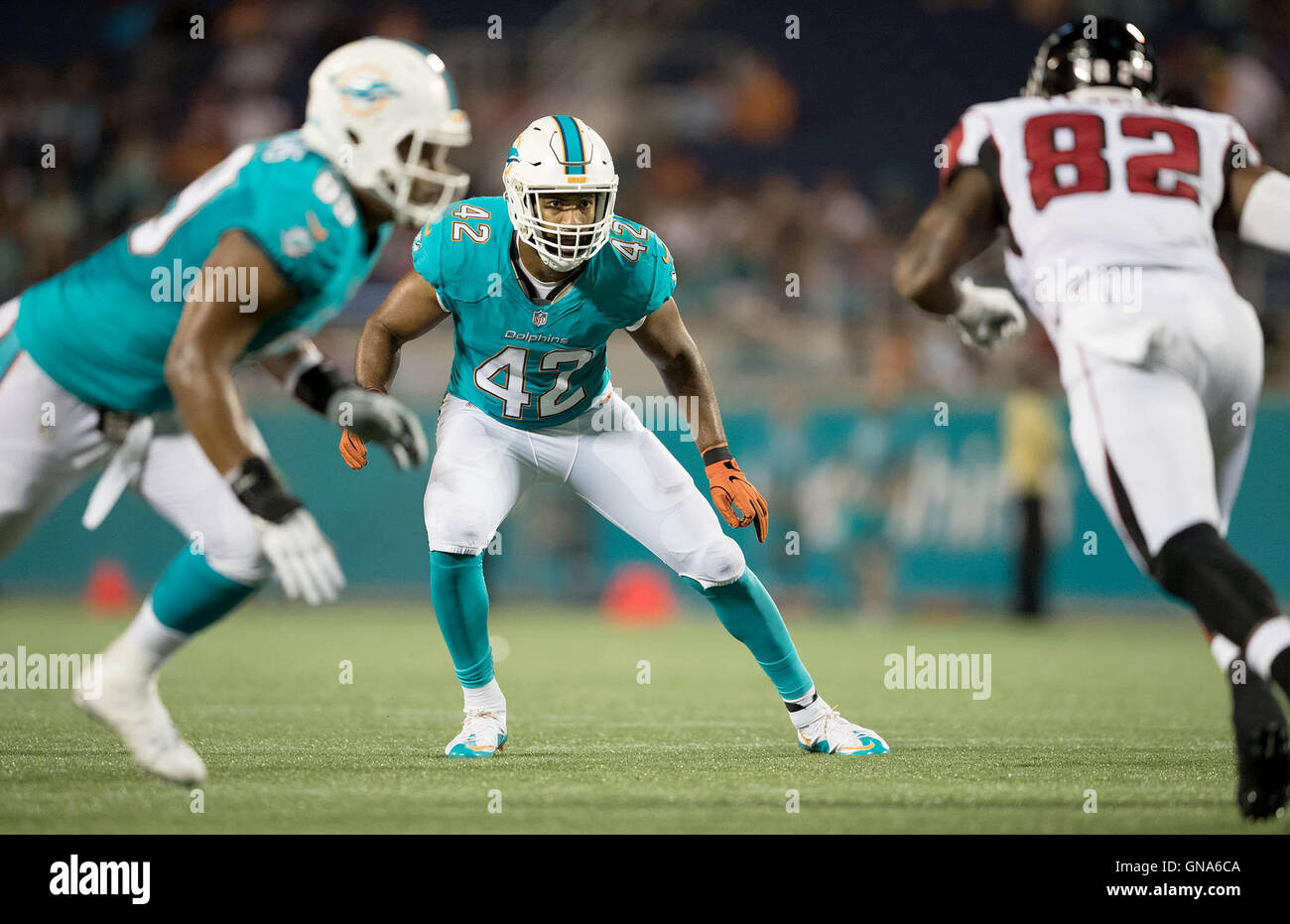 Orlando, Floride, USA. Août 29, 2016. Le secondeur des Dolphins de Miami Spencer Paysinger (42) au Camping World Stadium à Orlando, Floride, le 25 août 2016. Credit : Allen Eyestone/Le Palm Beach Post/ZUMA/Alamy Fil Live News Banque D'Images