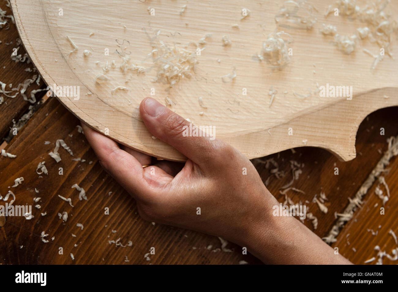 La Forêt de violons, de Paneveggio, Italie. Giovanna Chittò, luthier  (luthier), façonner le bois pour un violoncelle dans son atelier Photo  Stock - Alamy