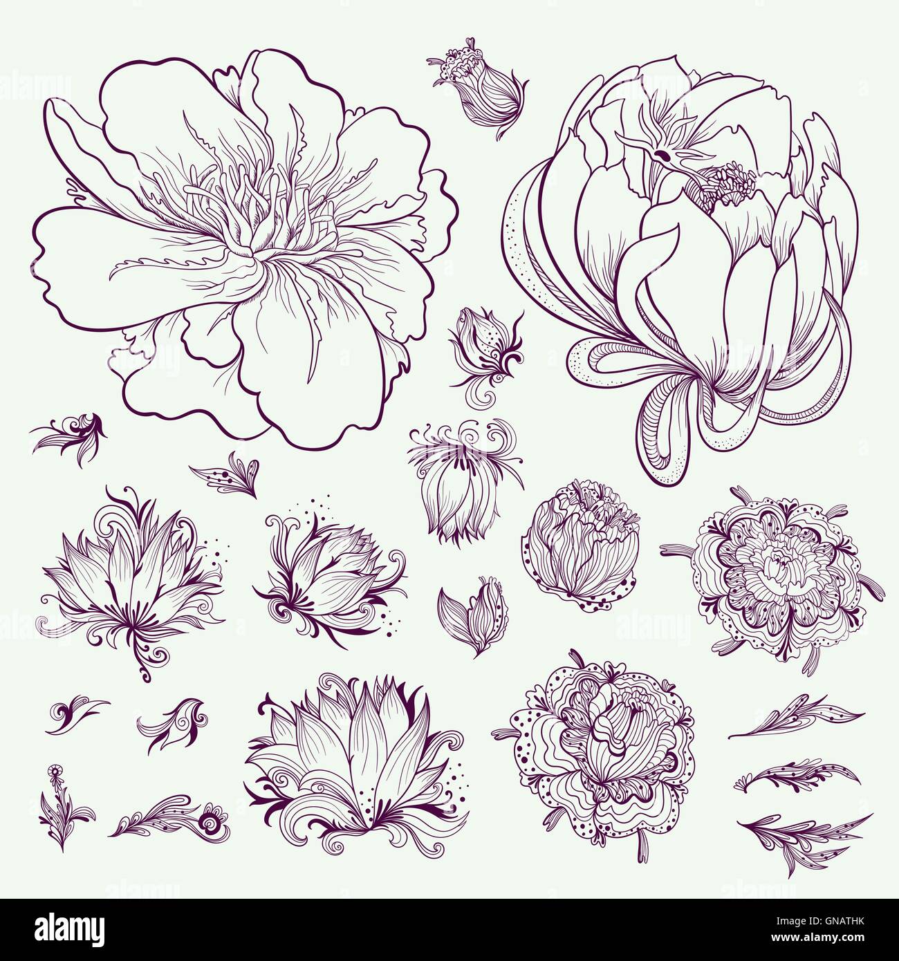 Jeu de croquis Fleurs Contour vectoriel Illustration de Vecteur