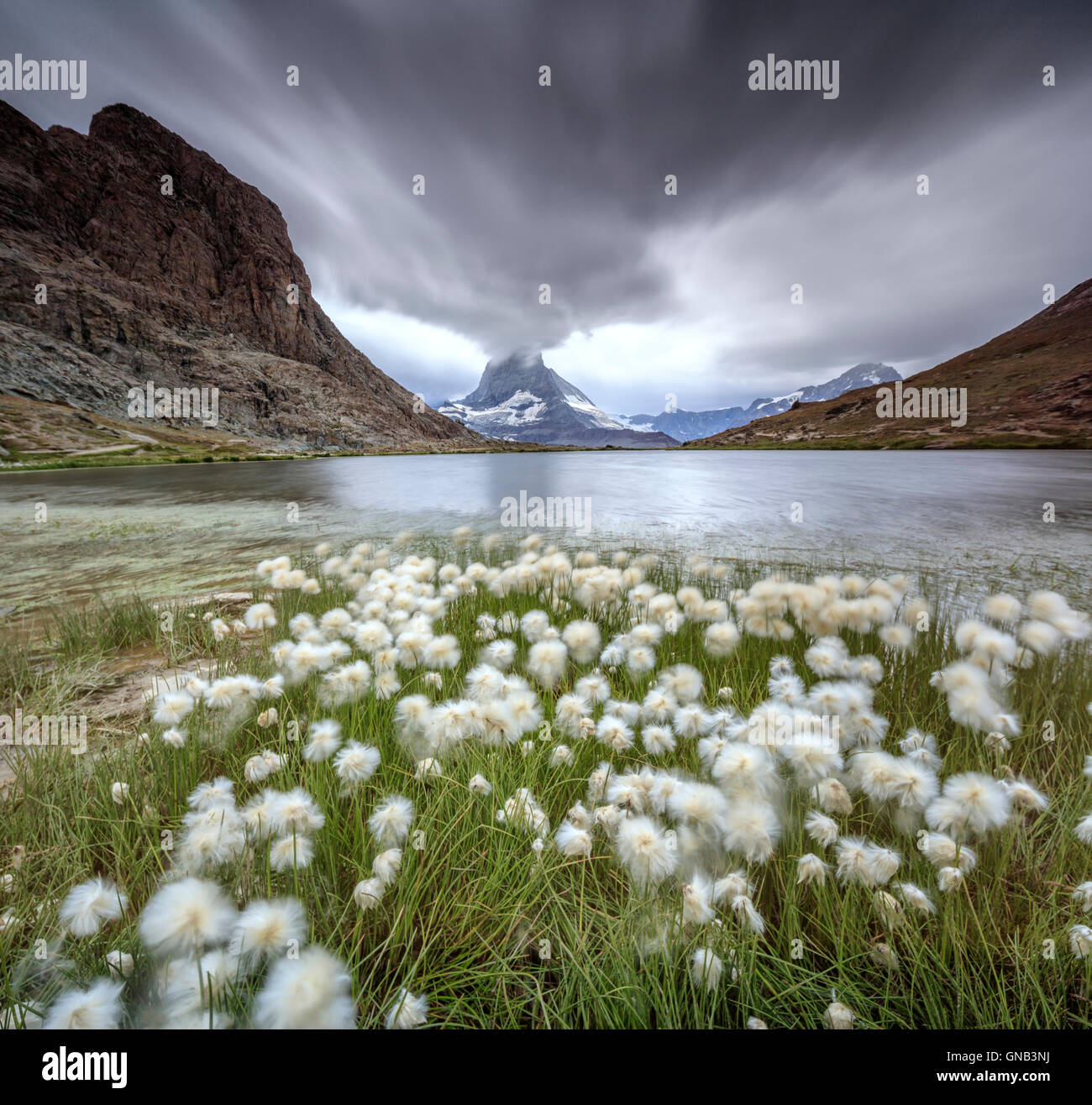 Le coton de l'Lake alors qu'un orage Riffelsee hits le Cervin Zermatt Canton du Valais Suisse Europe Banque D'Images